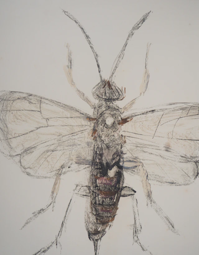 Michel HENRY - Les insectes : le Pompilidae - Monotype original signé