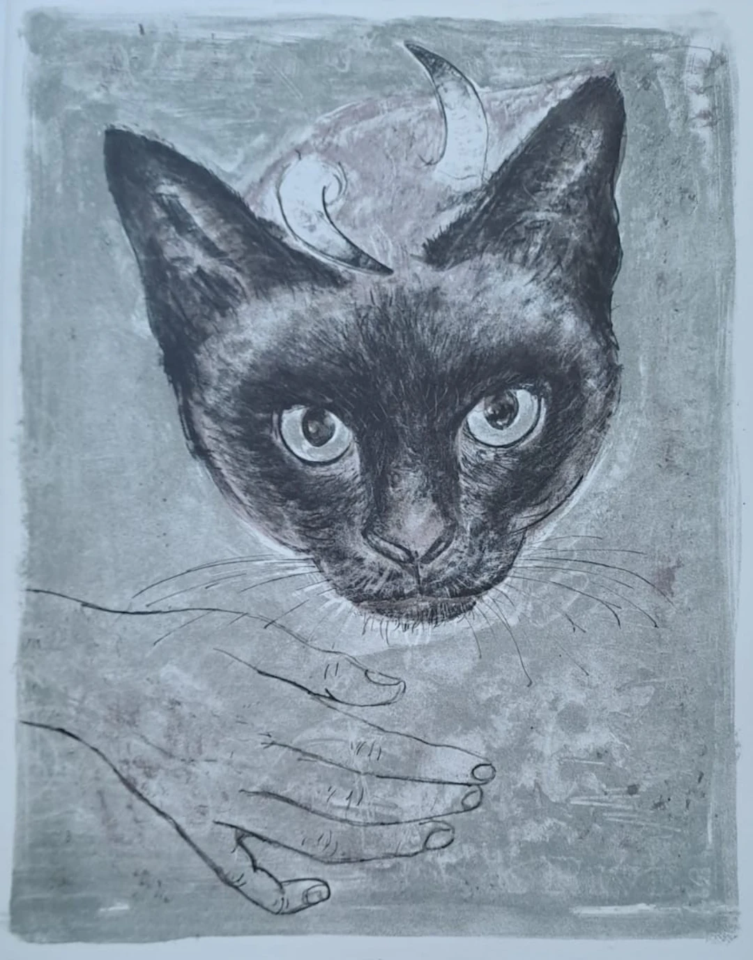 Jacques Birr - Le chat à cornes - Lithographie originale