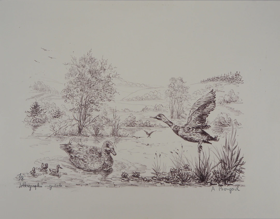 André BOUGEROL : Canards sur l’eau - Lithographie originale signée