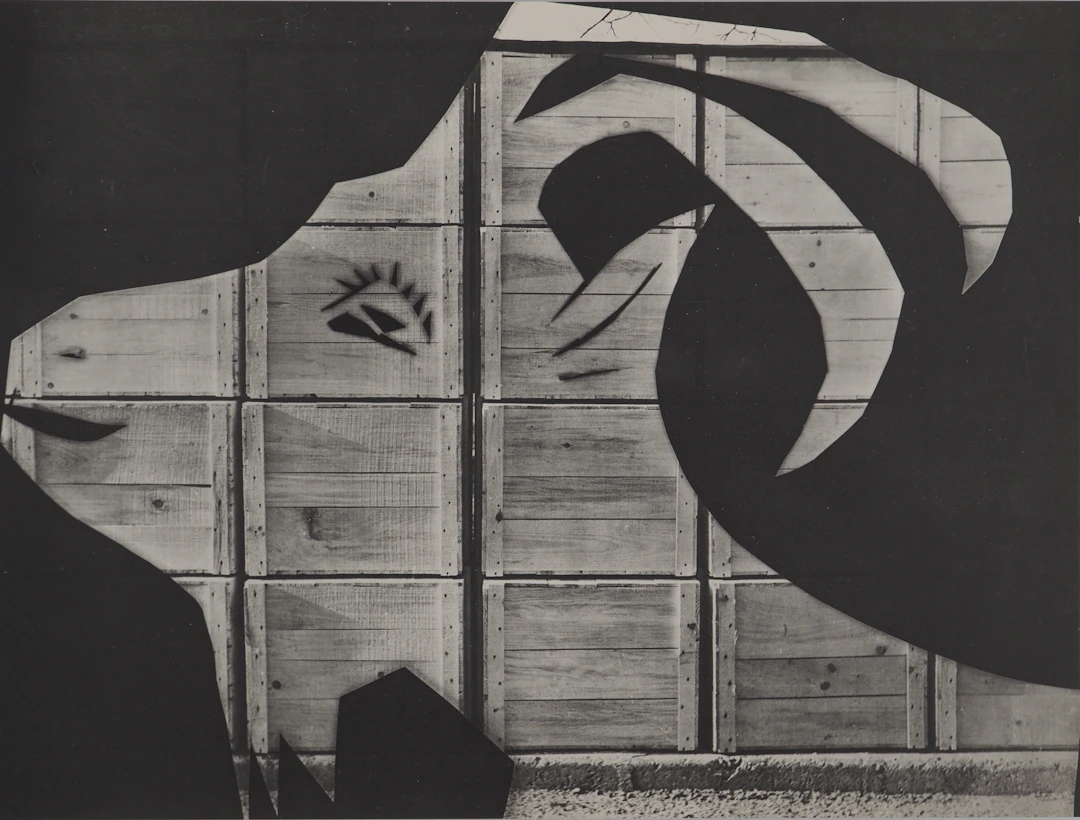 Pablo PICASSO : Diurnes, La chèvre à la caisse d’emballage, Phototypie