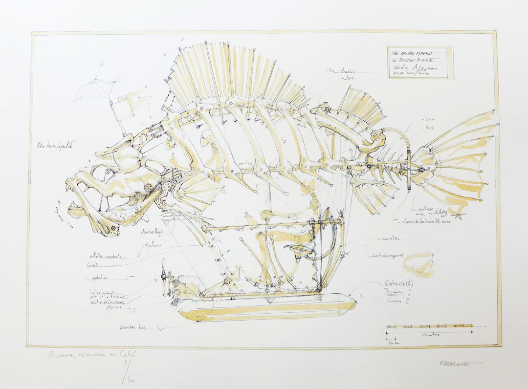 François DELAROZIERE - Le poisson pirate, 2008 - Lithographie signée au crayon
