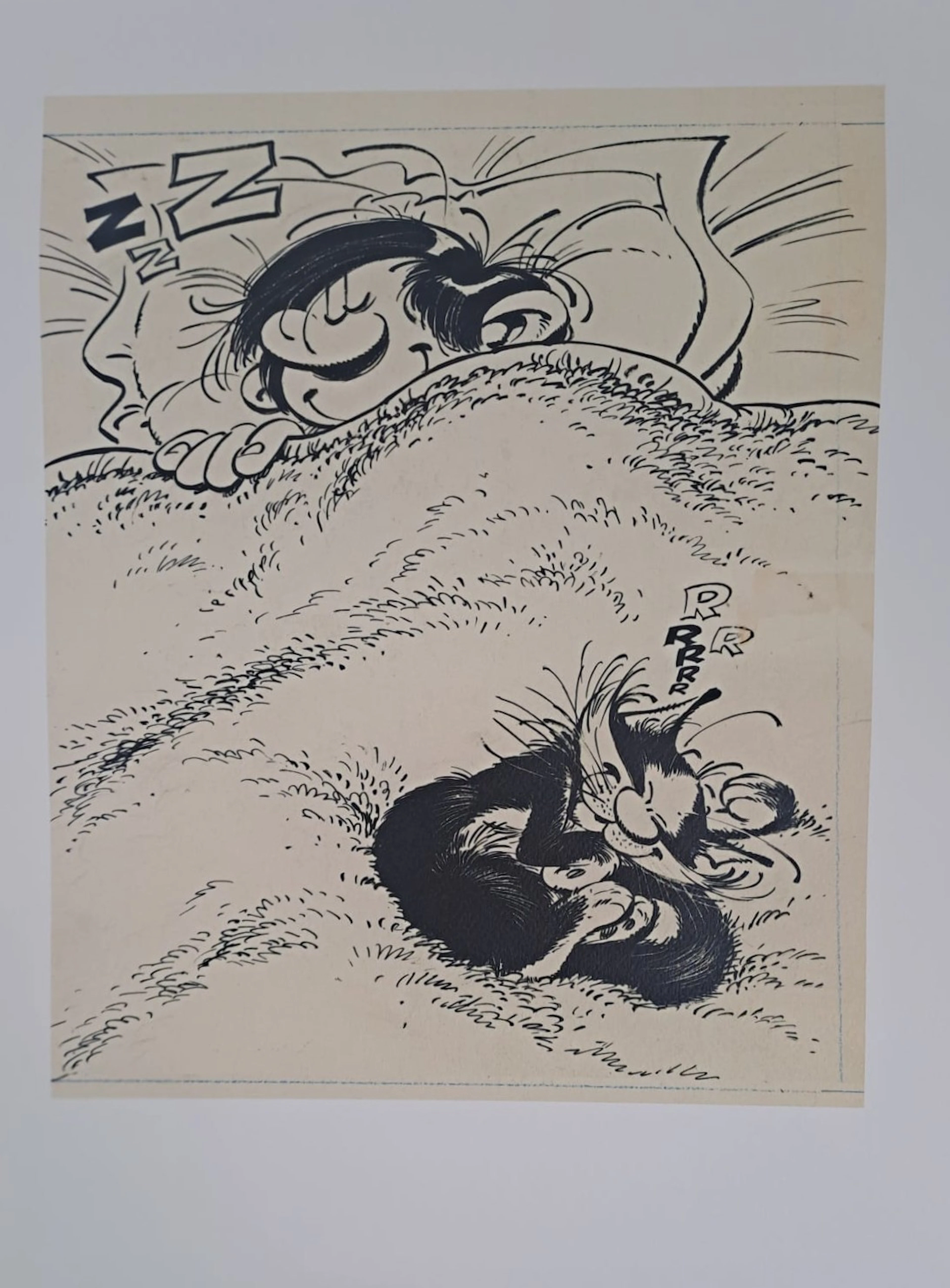 Franquin - Gaston, le chat et la sieste - Affiche