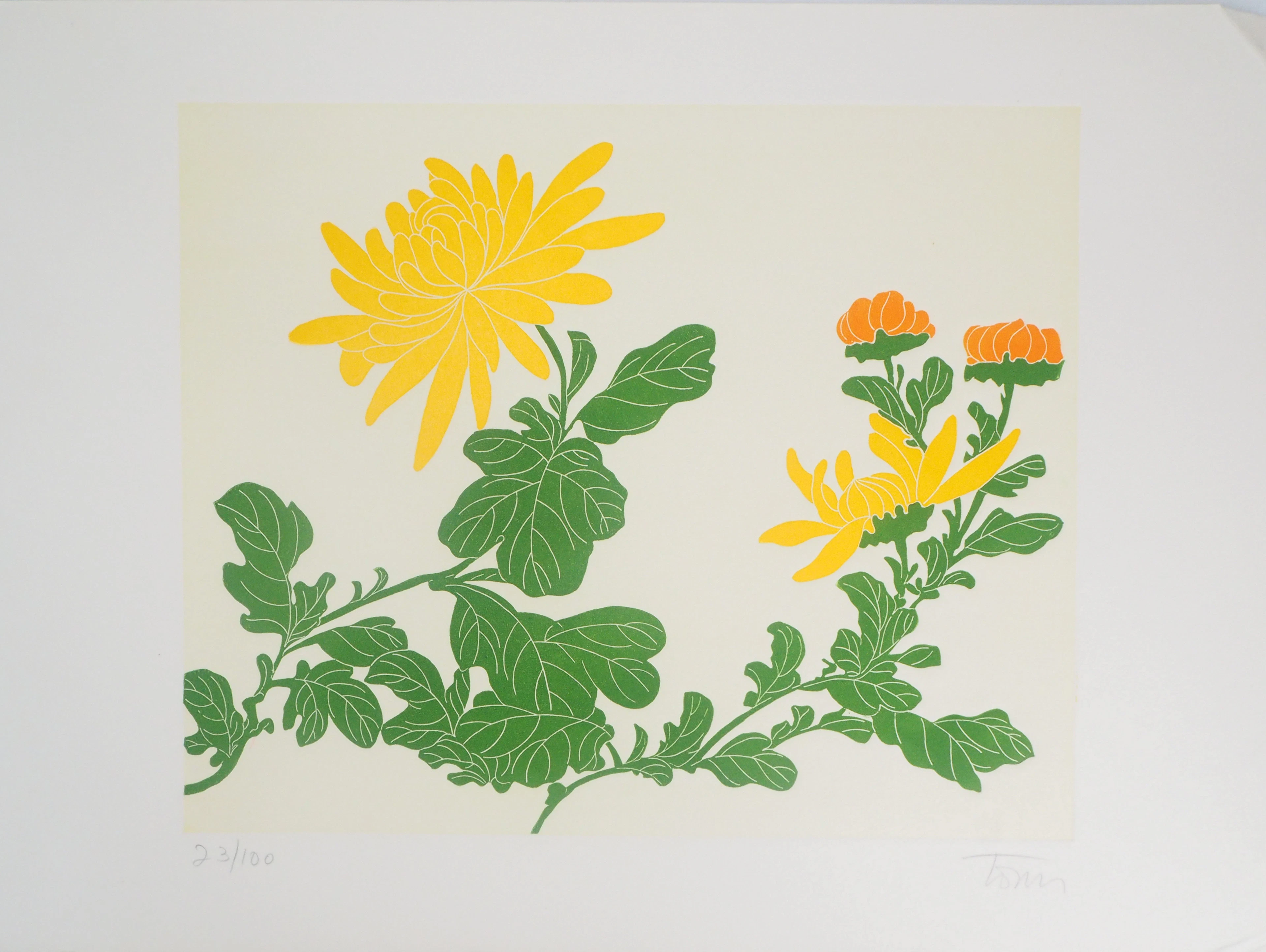 Fernando TORMO : Les chrysanthèmes - Gravure signée