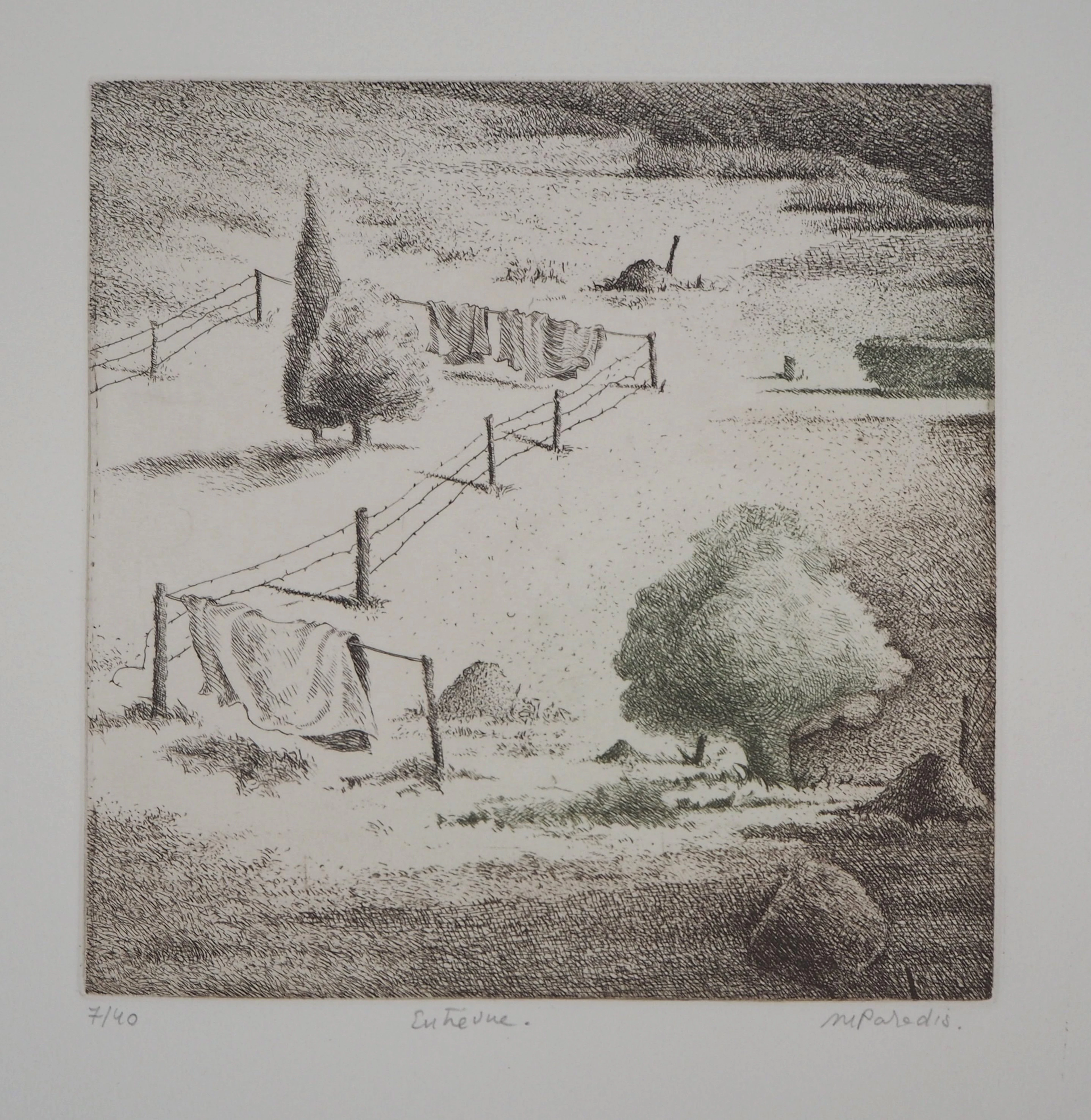 Michel PARADIS : Entrevue - Gravure originale signée