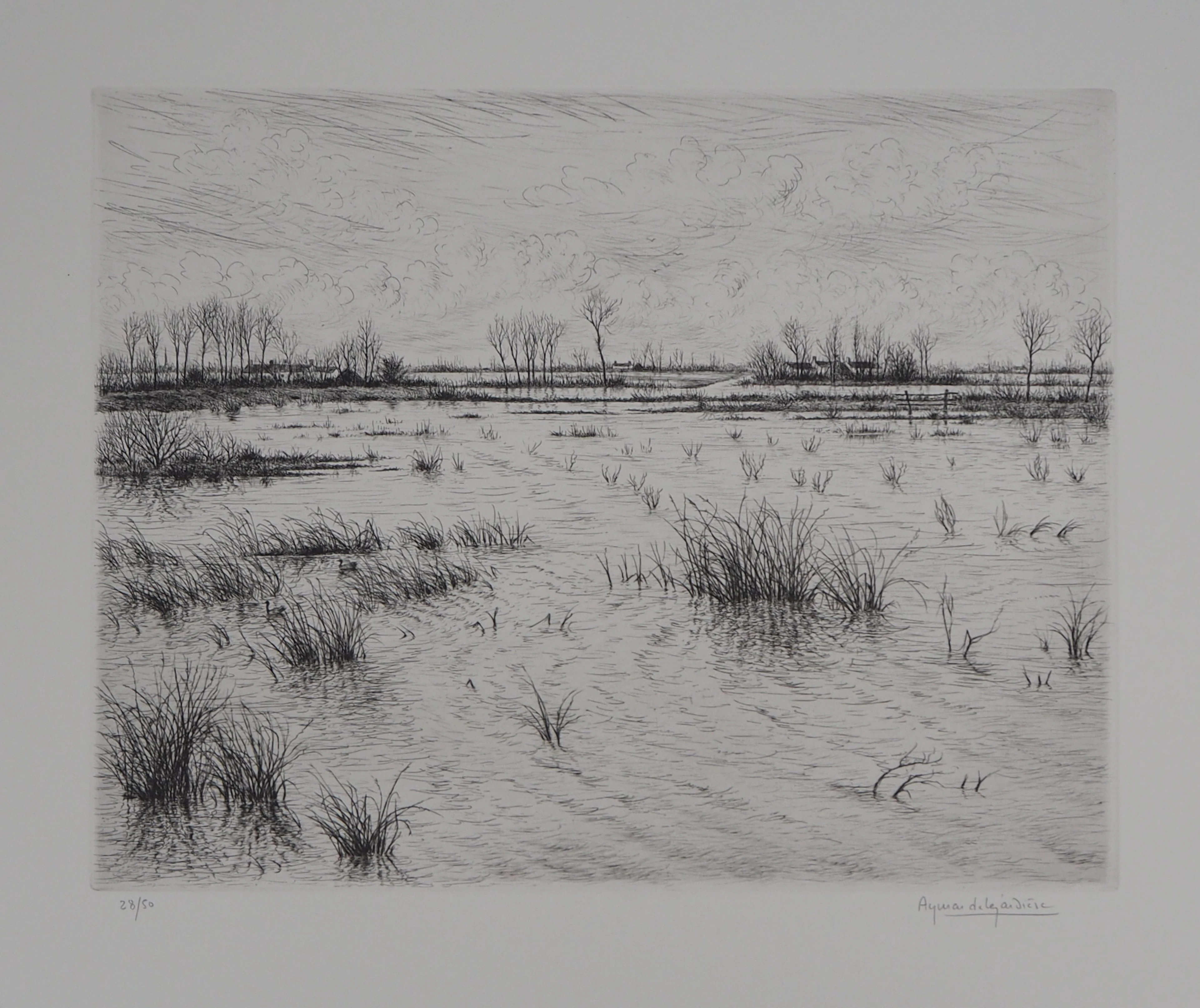 Aymar DE LEZARDIERE : Paysage inondé - Gravure signée au crayon