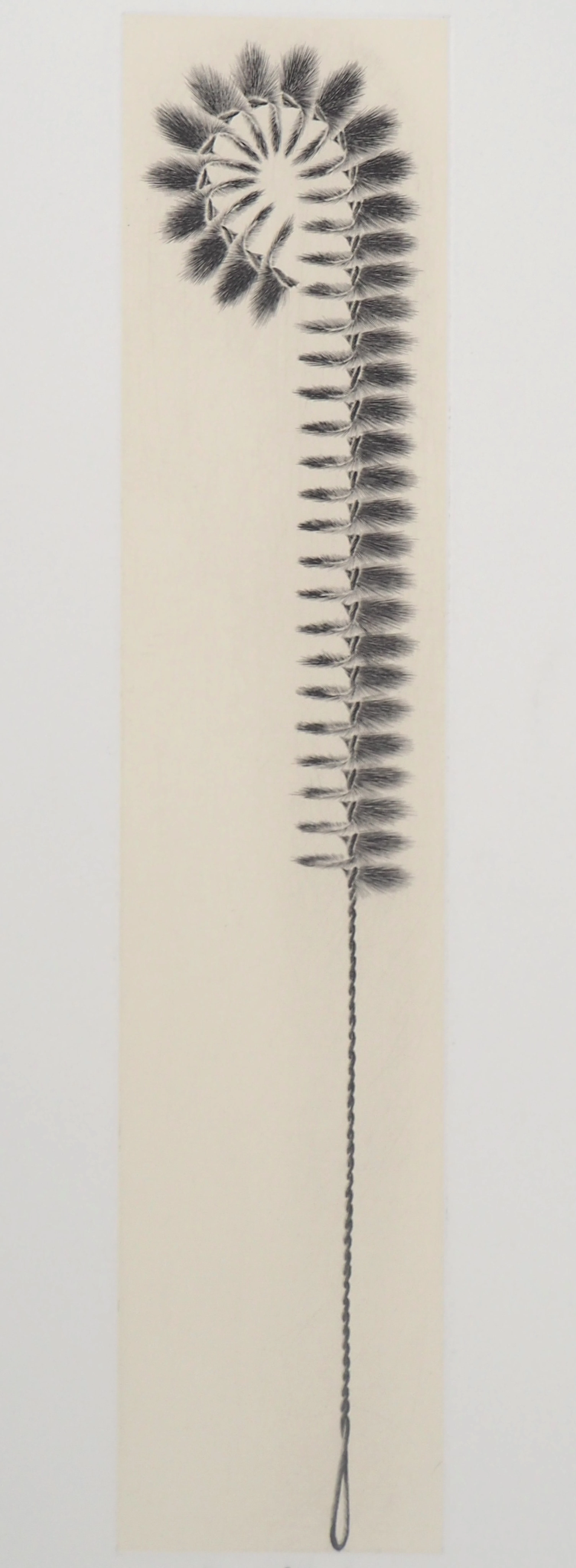 Jacques Muron - Crosse, 1996 - Gravure originale signée