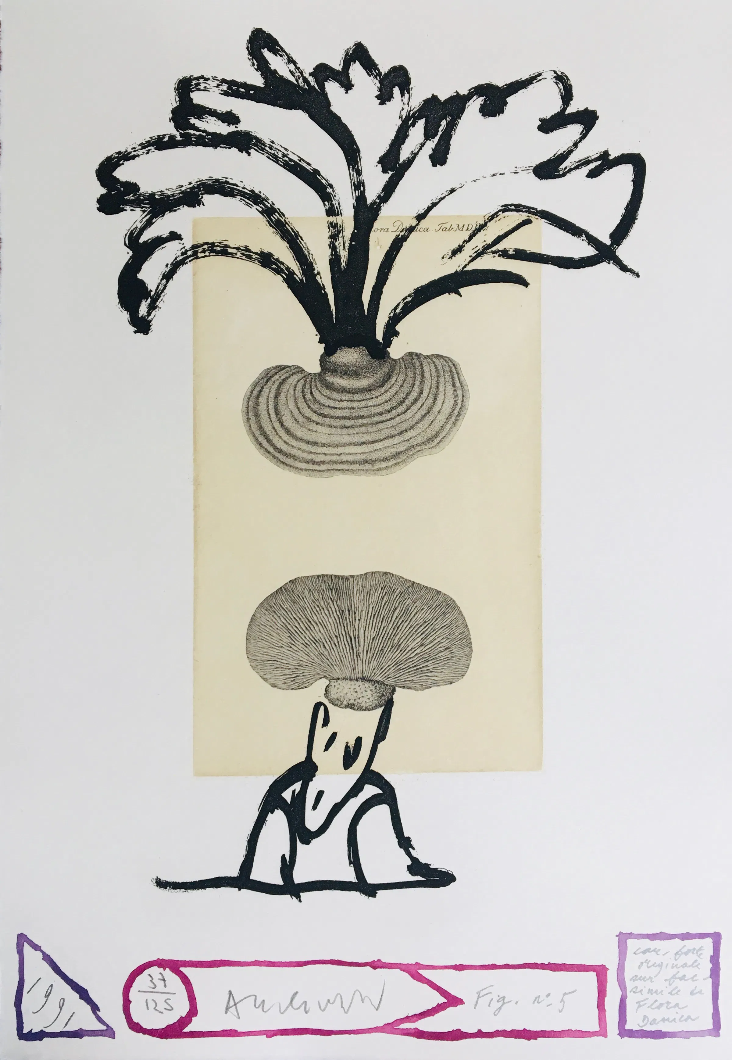 Pierre ALECHINSKY - Panaches, Flora Danica, 1991 - Eau-forte originale