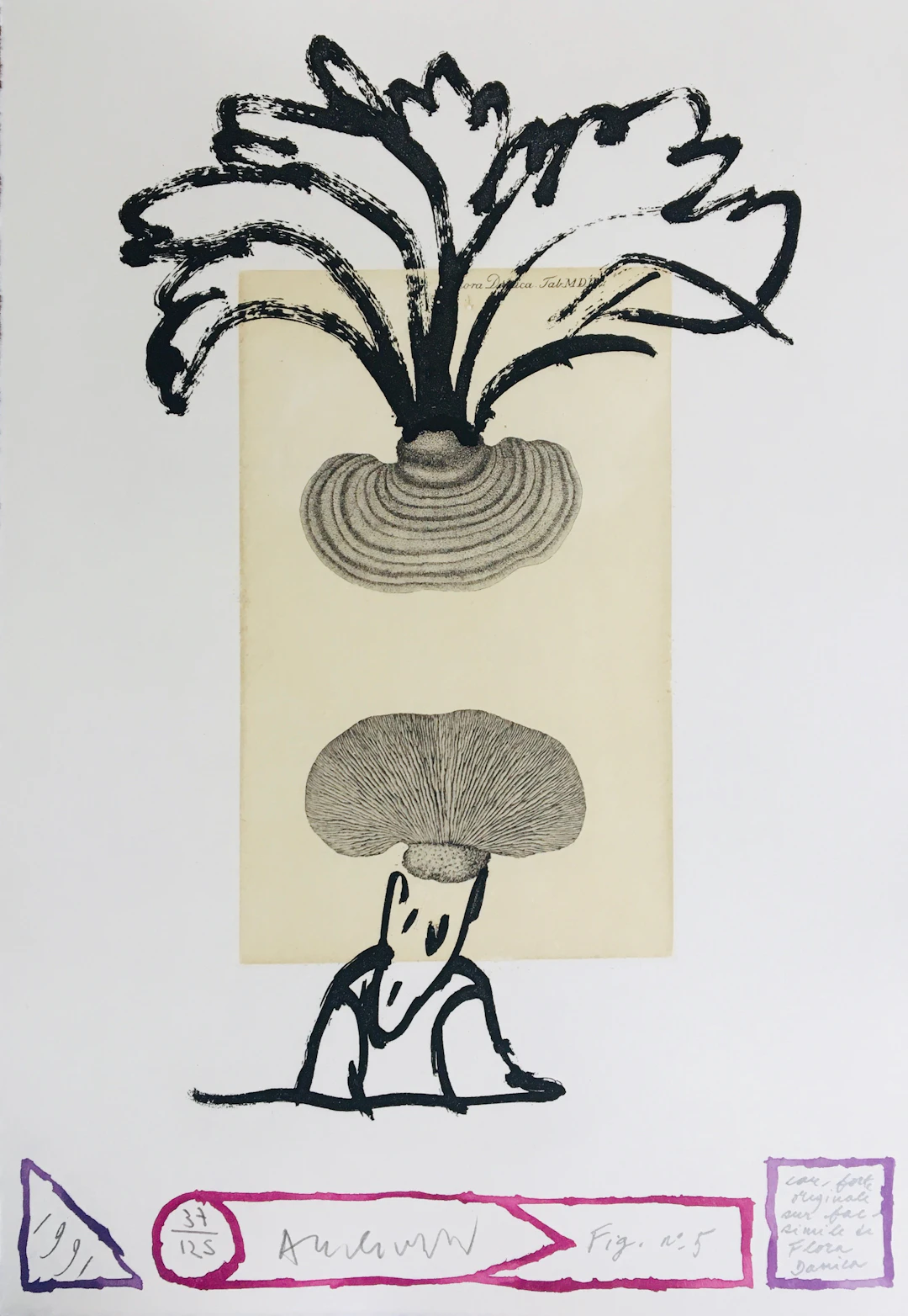 Pierre ALECHINSKY - Panaches, Flora Danica, 1991 - Eau-forte originale
