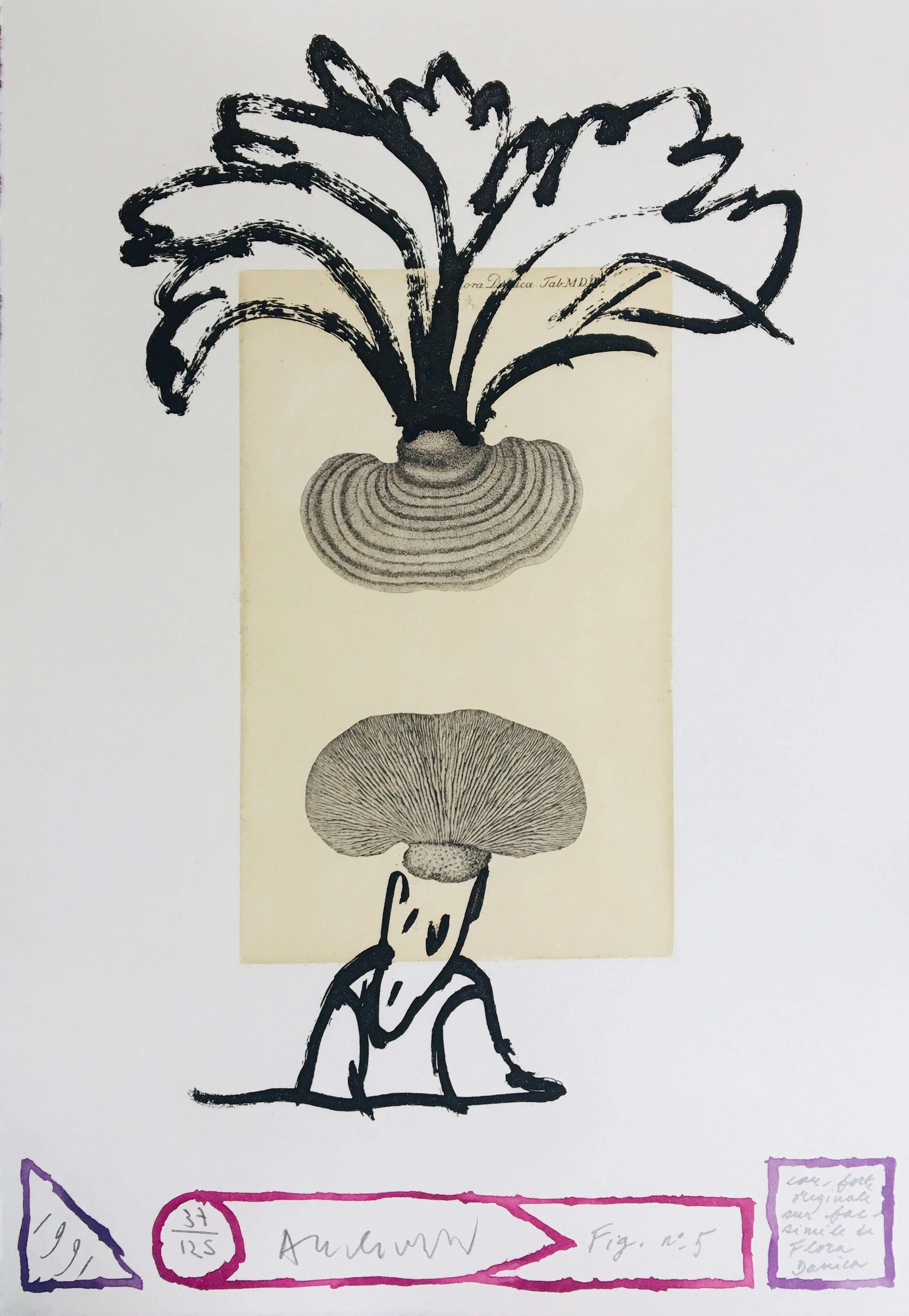 Pierre ALECHINSKY - Panaches, Flora Danica, 1991 - Eau-forte originale