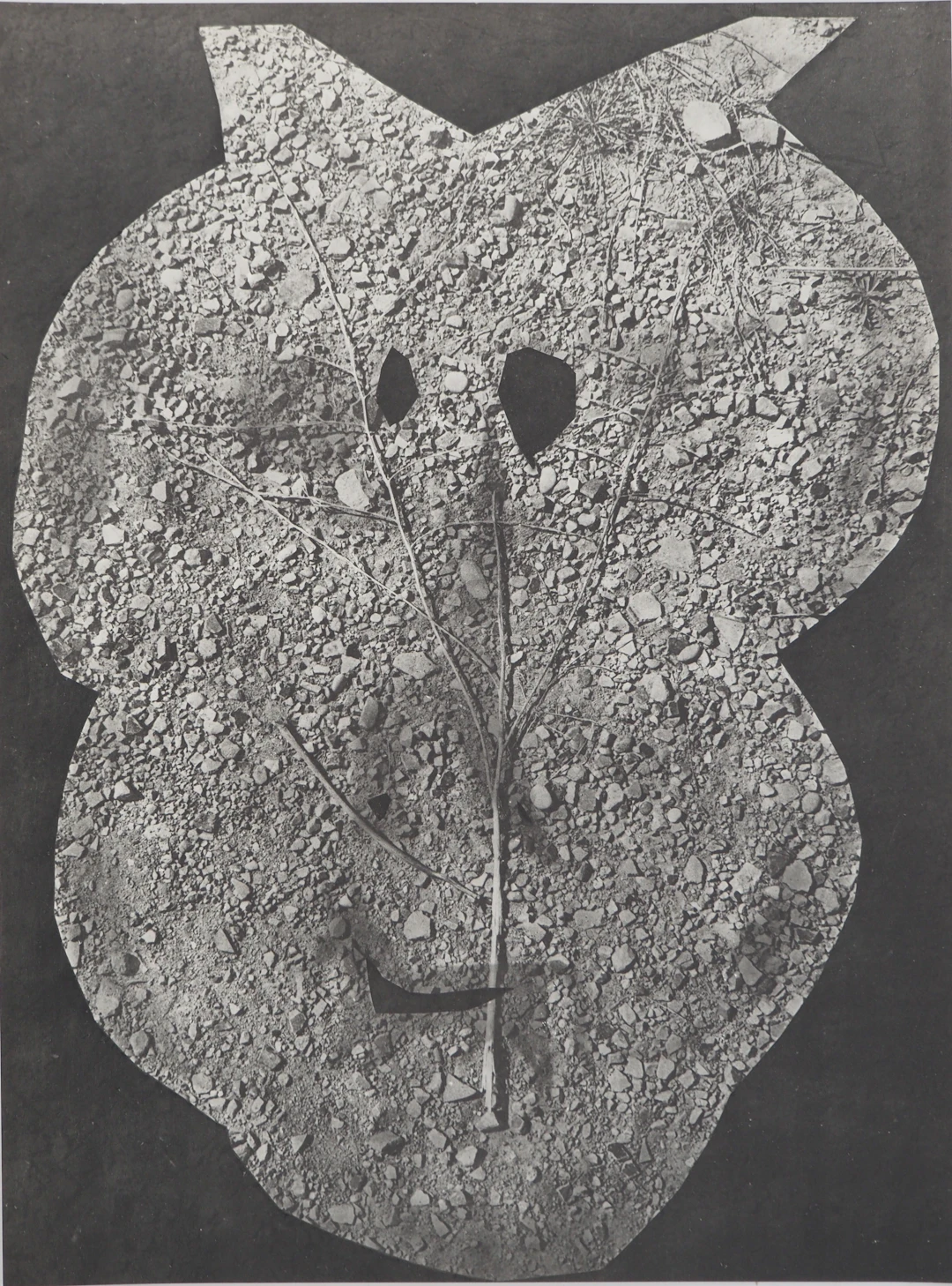 Pablo PICASSO : Diurnes, Nunc, Phototypie originale
