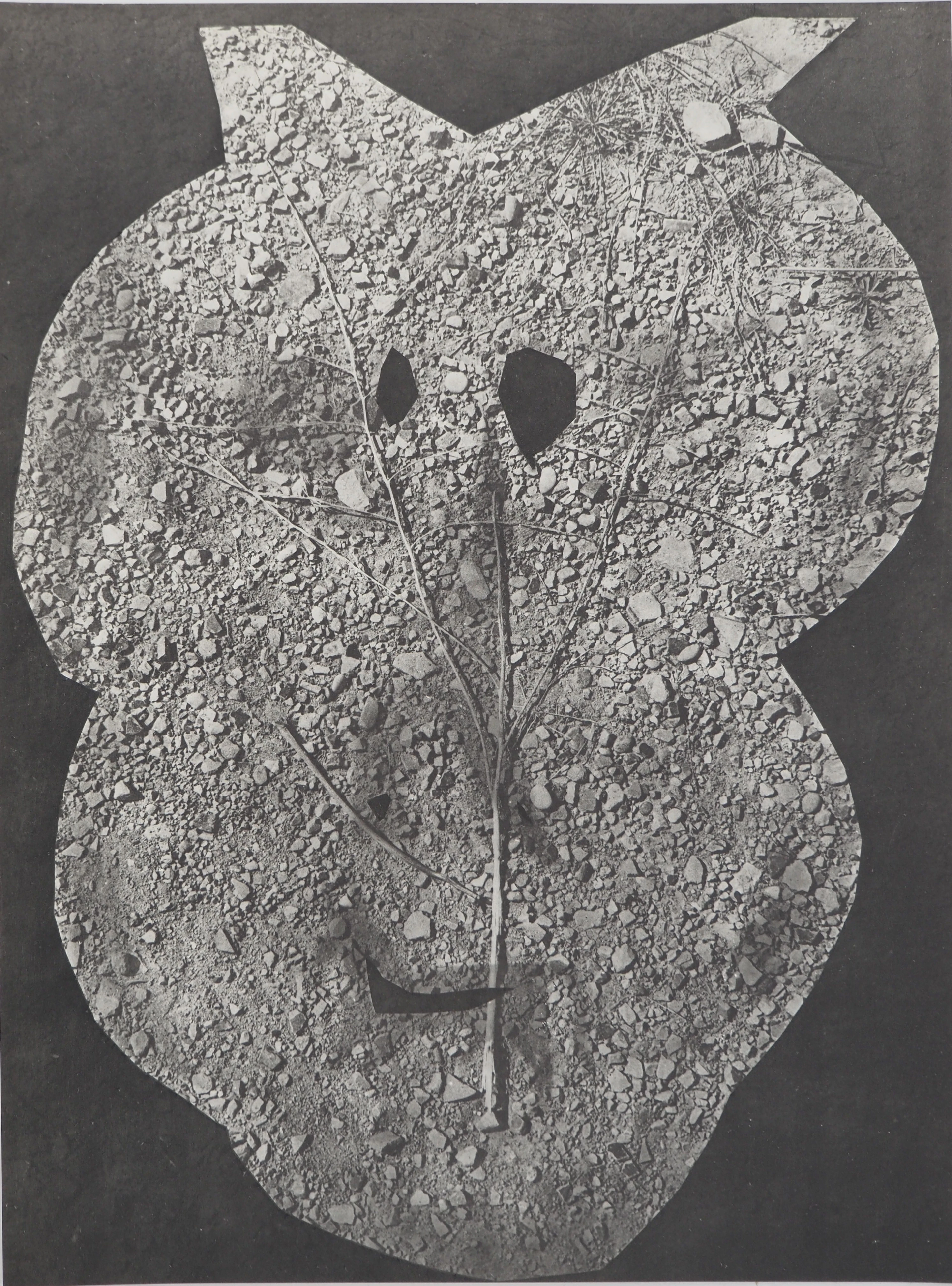 Pablo PICASSO : Diurnes, Nunc, Phototypie originale