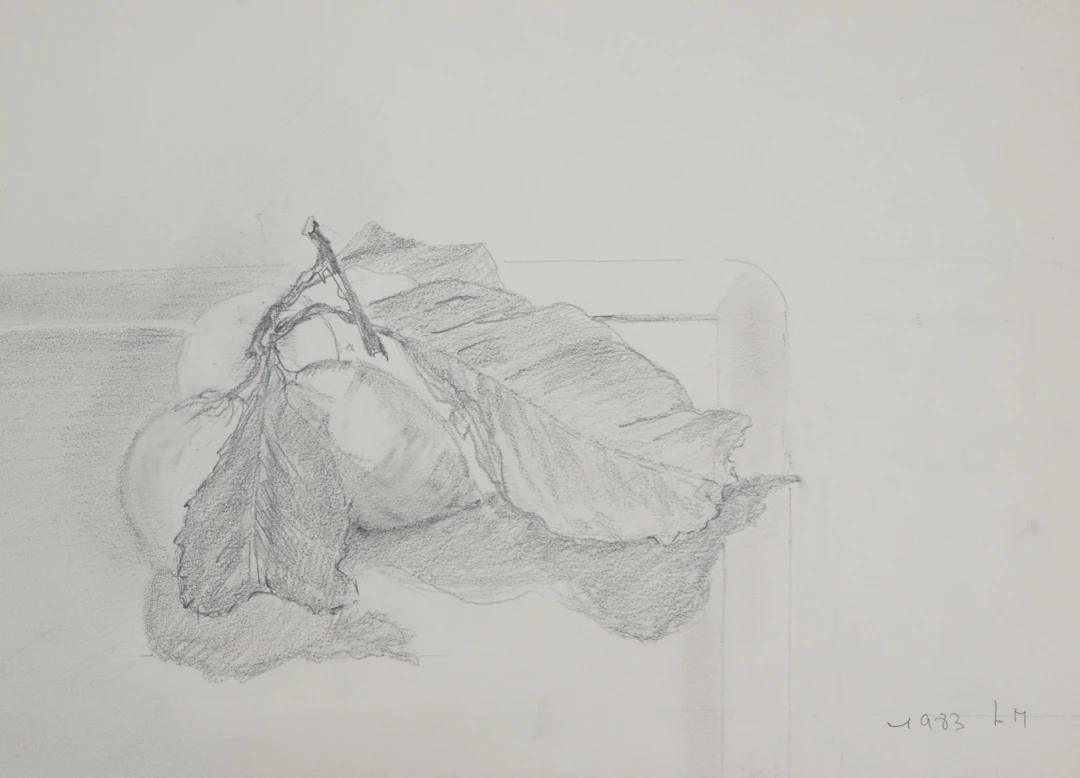Lily MASSON : Citrons, 1983 - Dessin au crayon original signé