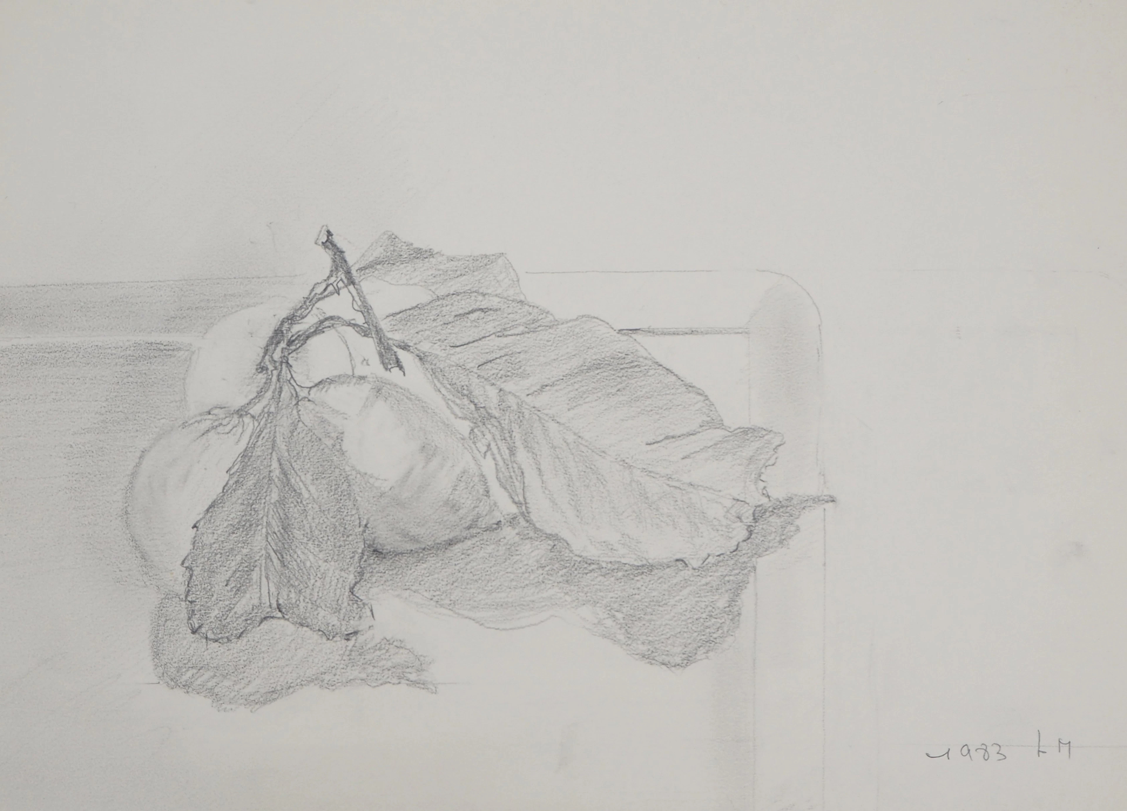 Lily MASSON : Citrons, 1983 - Dessin au crayon original signé