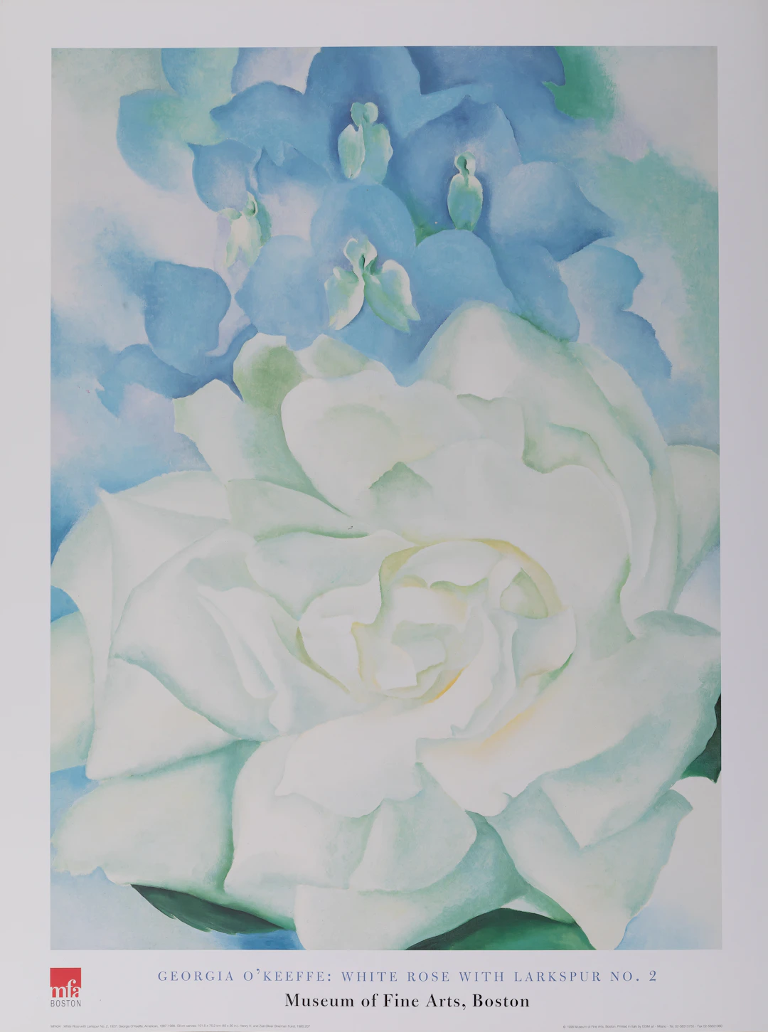 Georgia O’KEEFE : White rose with Larkspur - Affiche originale