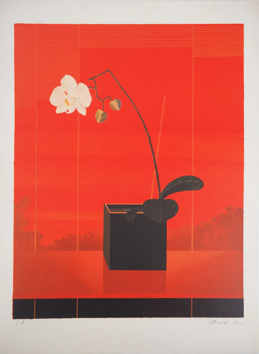 Pierre GARCIA-FONS : Orchidée blanche - Lithographie originale signée