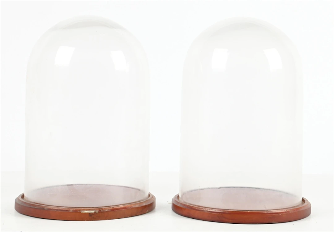 LOT OF 2: GLASS DOME DISPLAYS