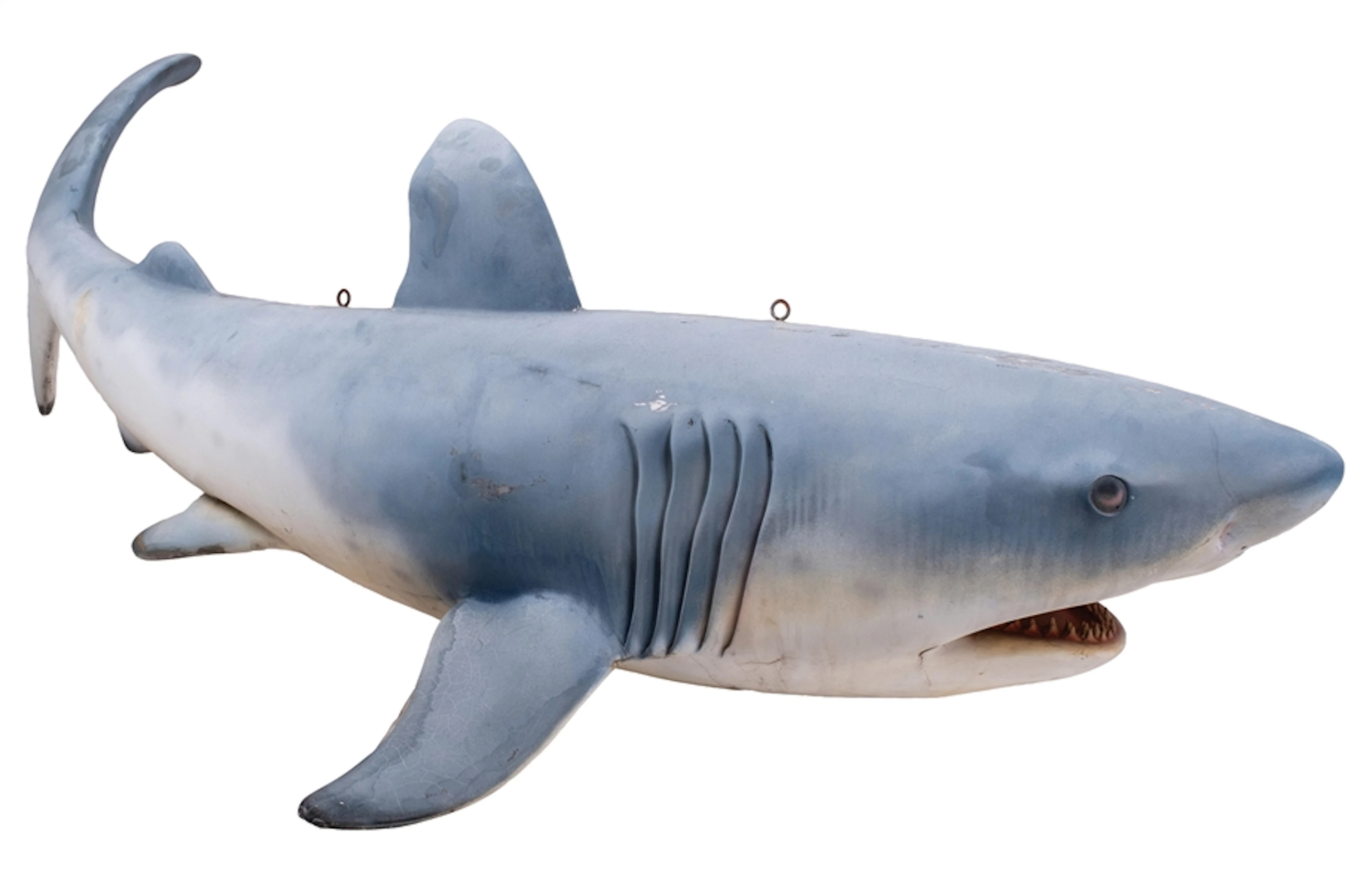 LARGE COMPOSITE HANGING SHARK DISPLAY