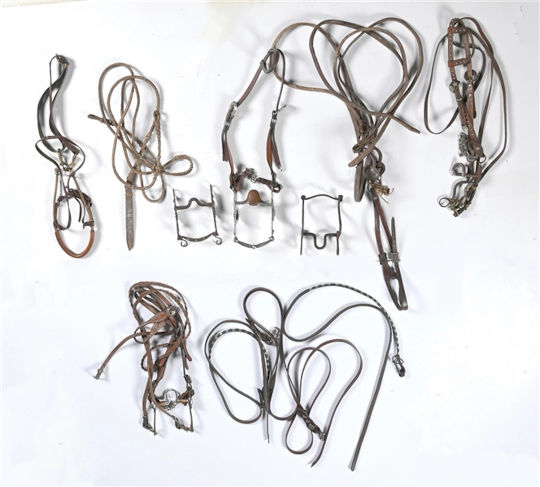 LOT OF 10: LEATHER CHAPS, BRIDLES AND BITS