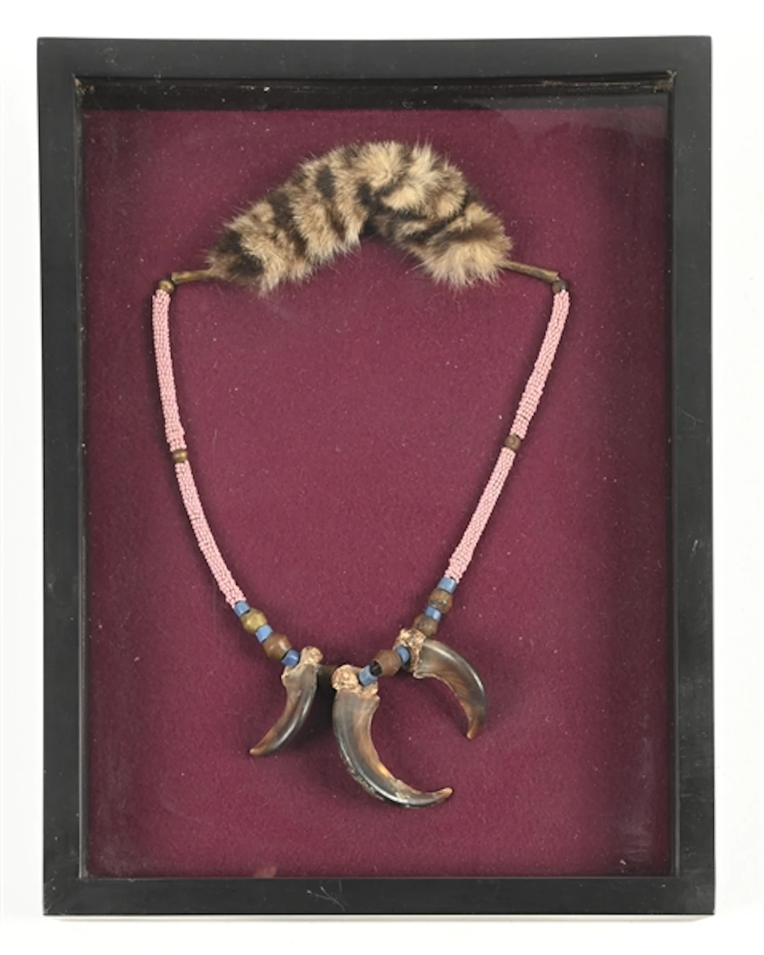 NATIVE AMERICAN BEAR CLAW NECKLACE