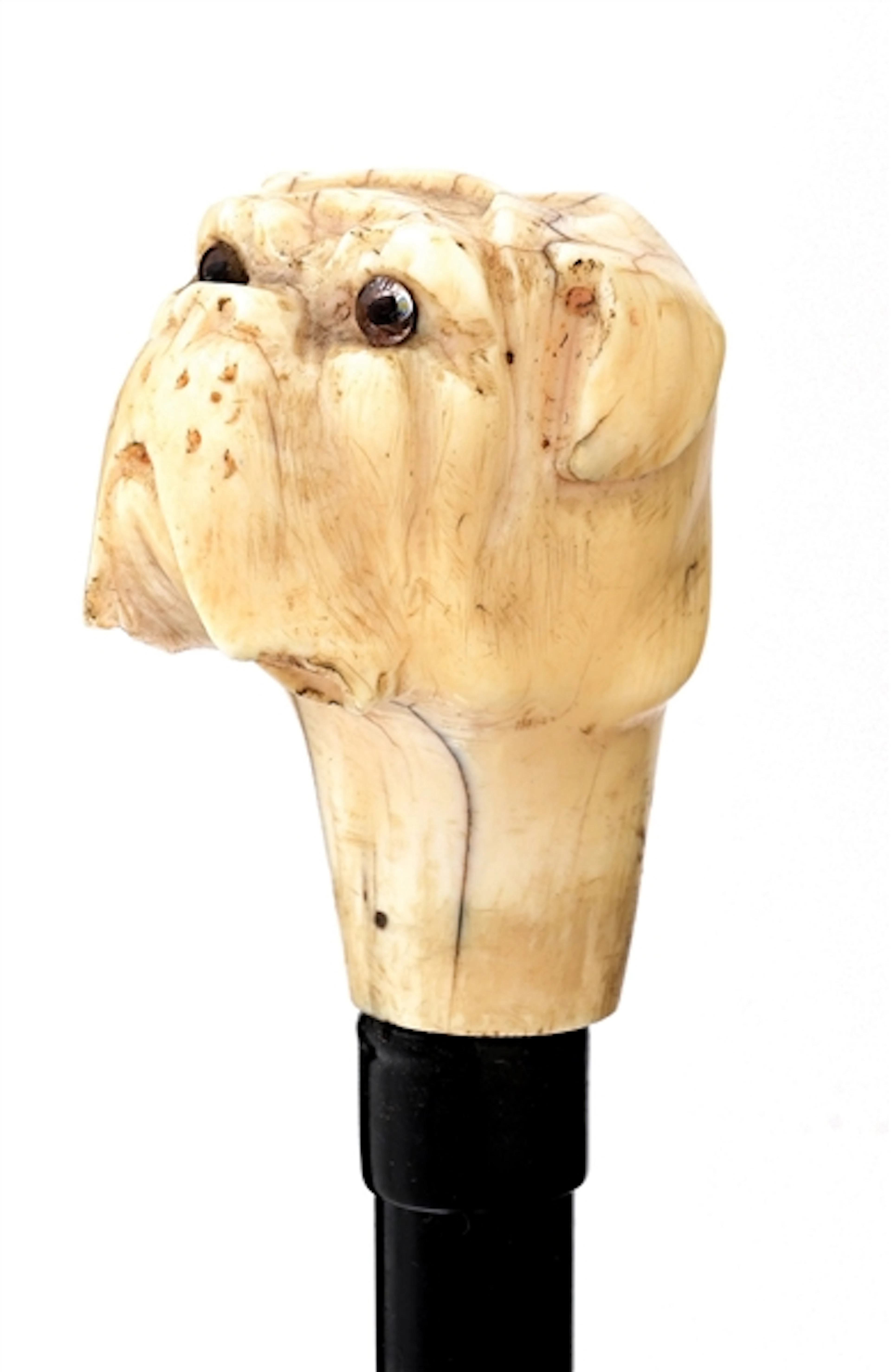ANTIQUE CANE WITH CARVED IVORY DOG HEAD AND EBONY SHAFT
