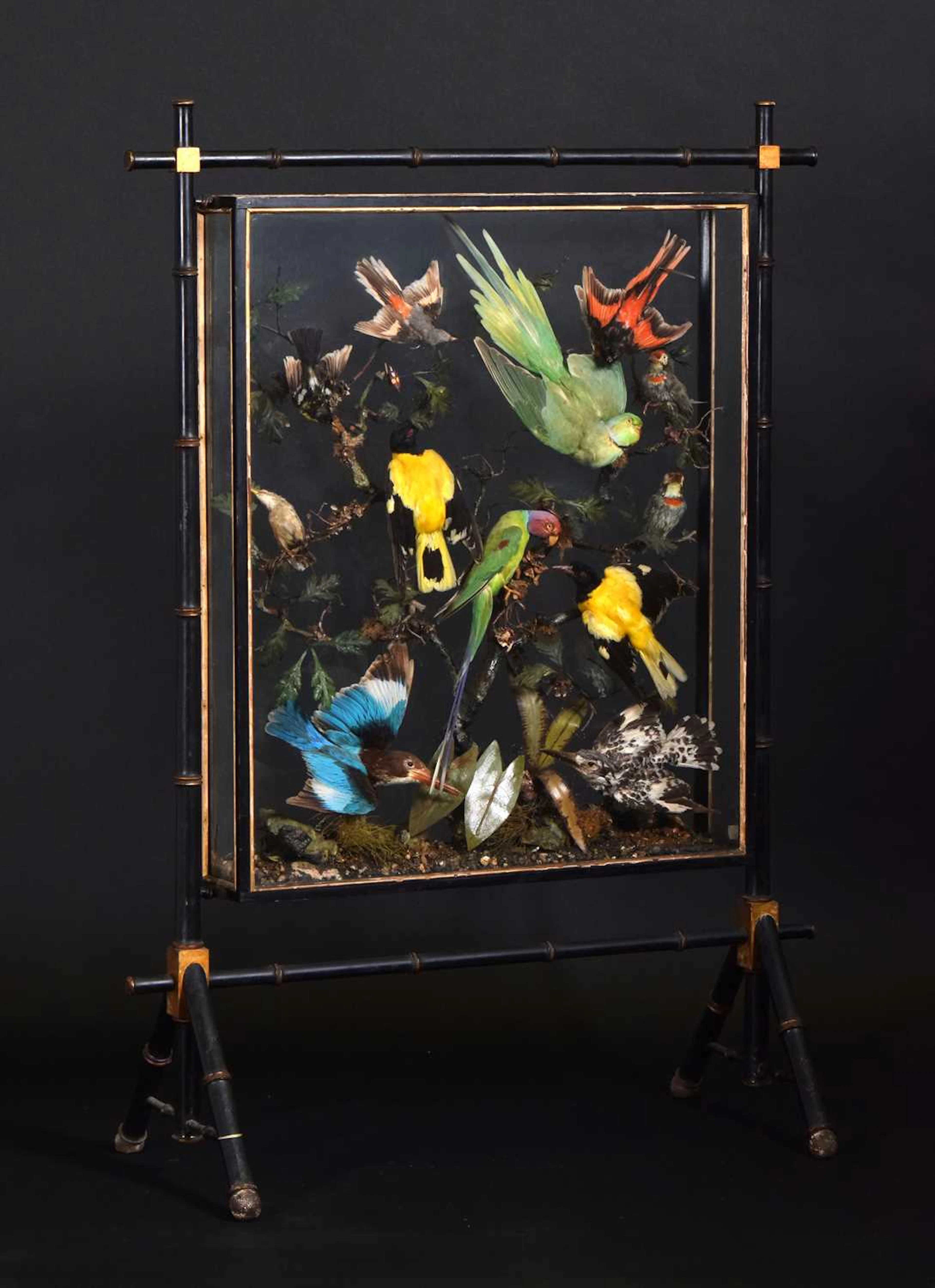 Taxidermy: A Victorian Asian Tropical Bird Firescreen or Room Divider