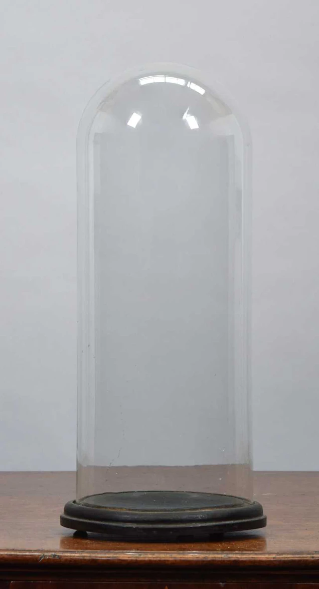 Glass Dome: A Period Circular Glass Dome