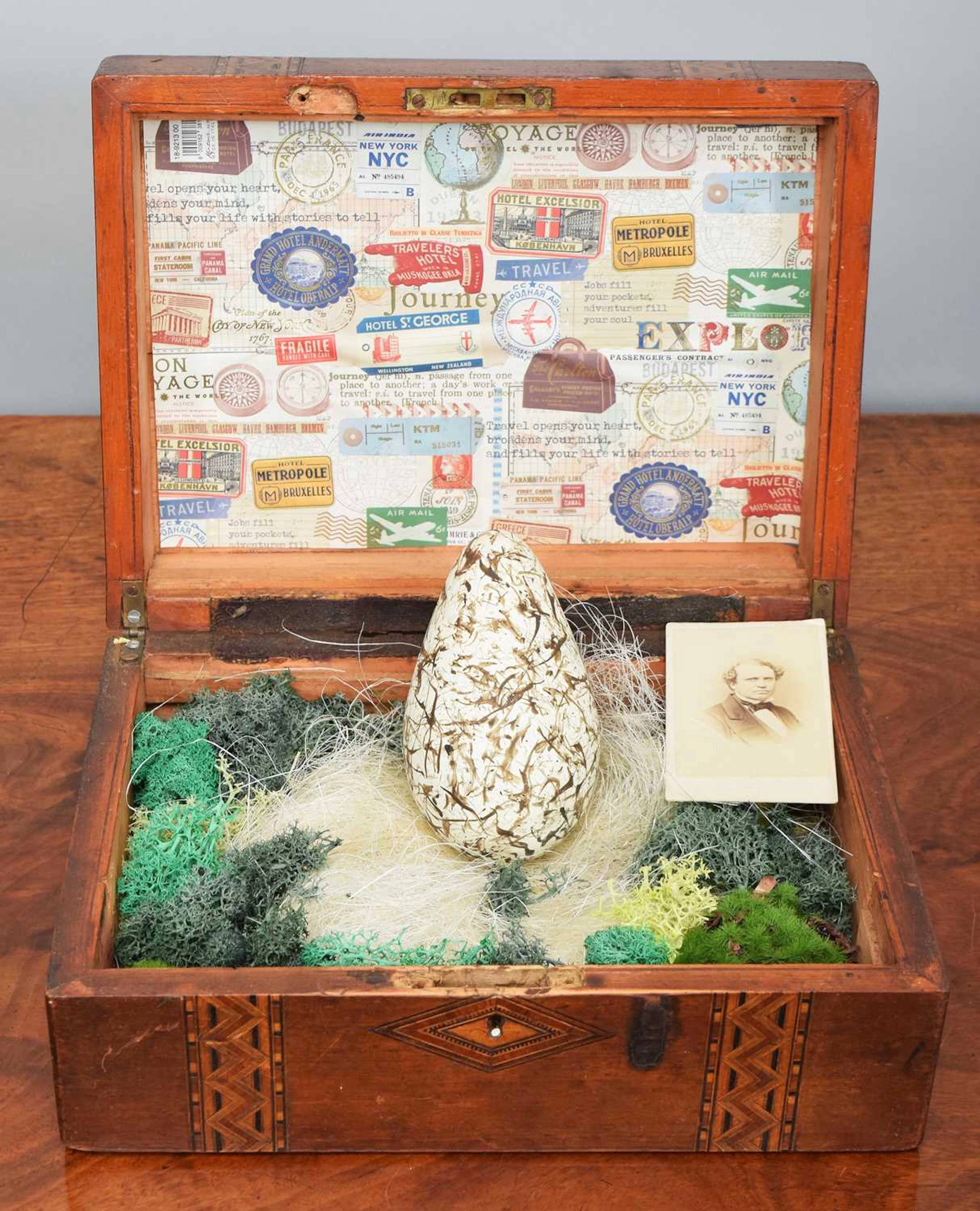 Natural History: A Replica of the Earl of Derby's Great Auk Egg (†Pinguinus