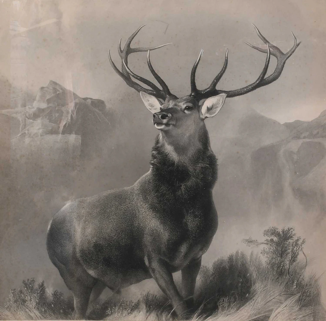 After Sir Edwin Landseer (1802-1873)