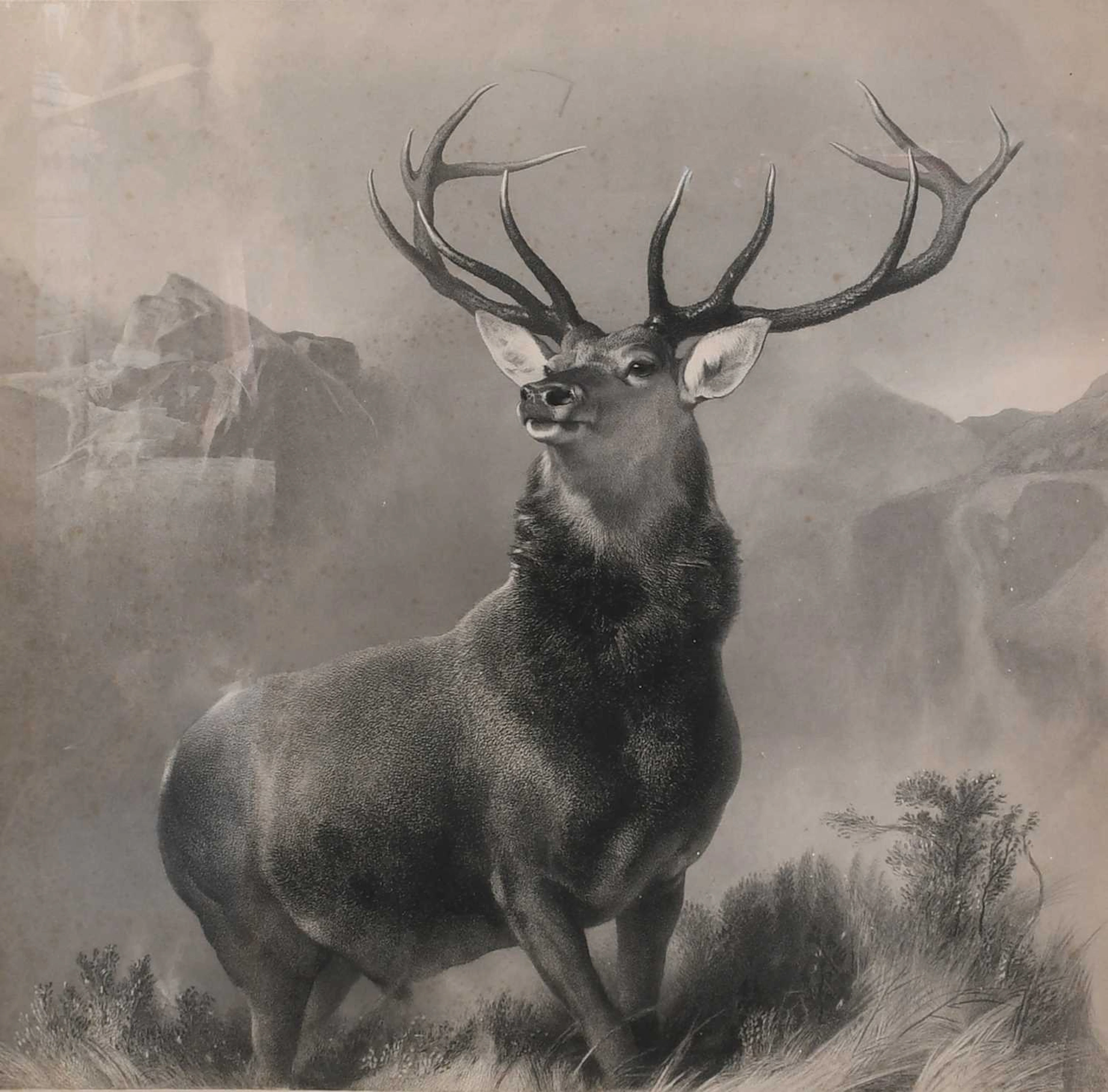 After Sir Edwin Landseer (1802-1873)