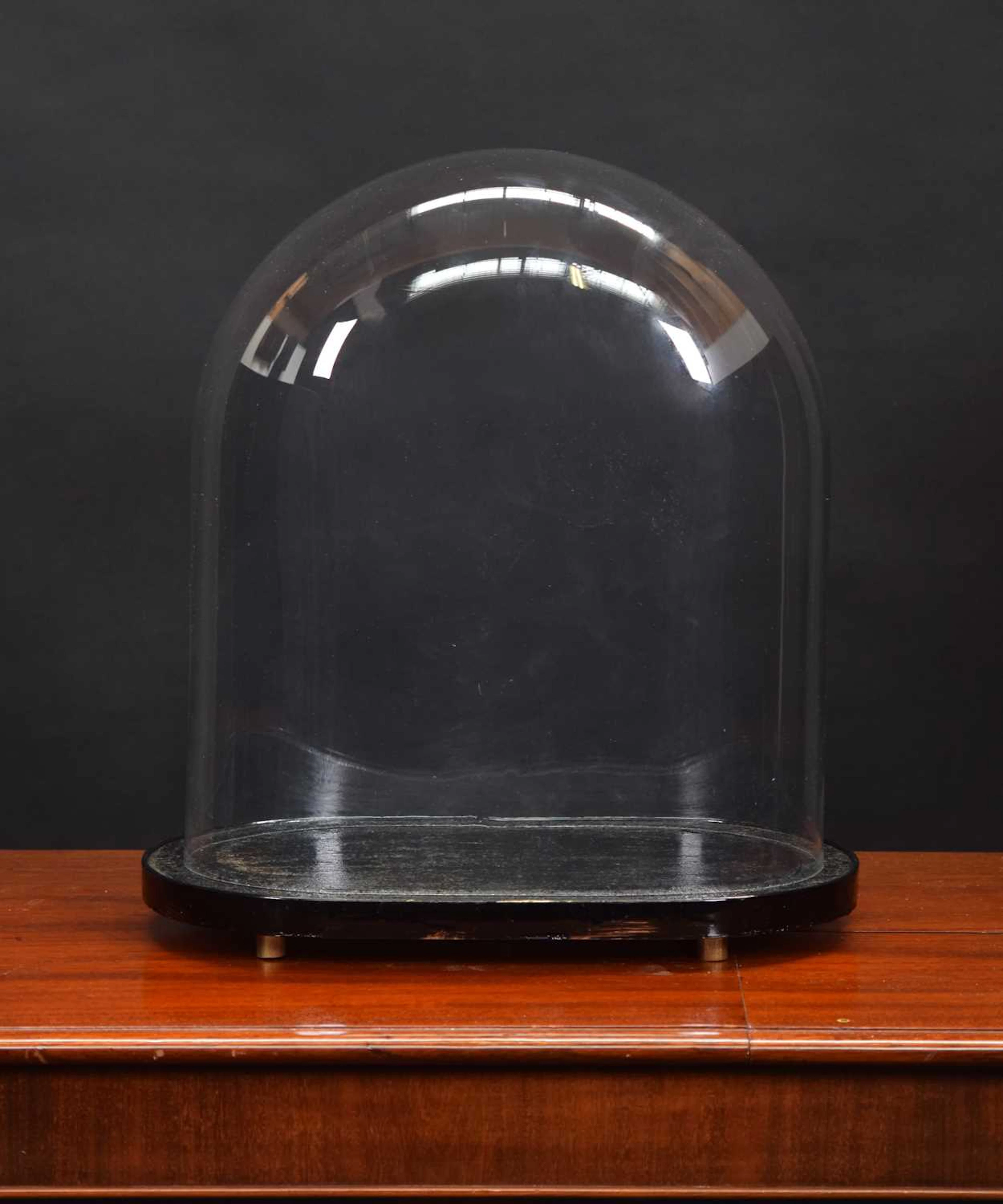 Glass Dome: An Oval Glass Dome