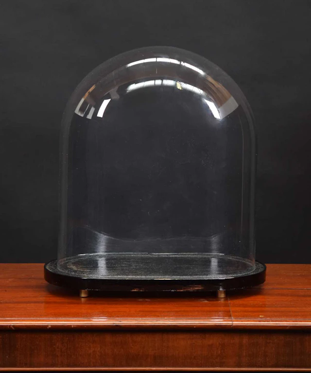 Glass Dome: An Oval Glass Dome