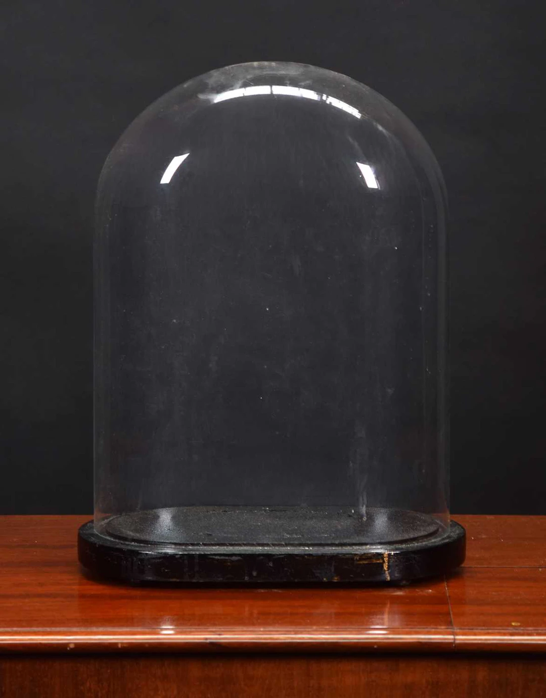 Glass Dome: An Oval Glass Dome