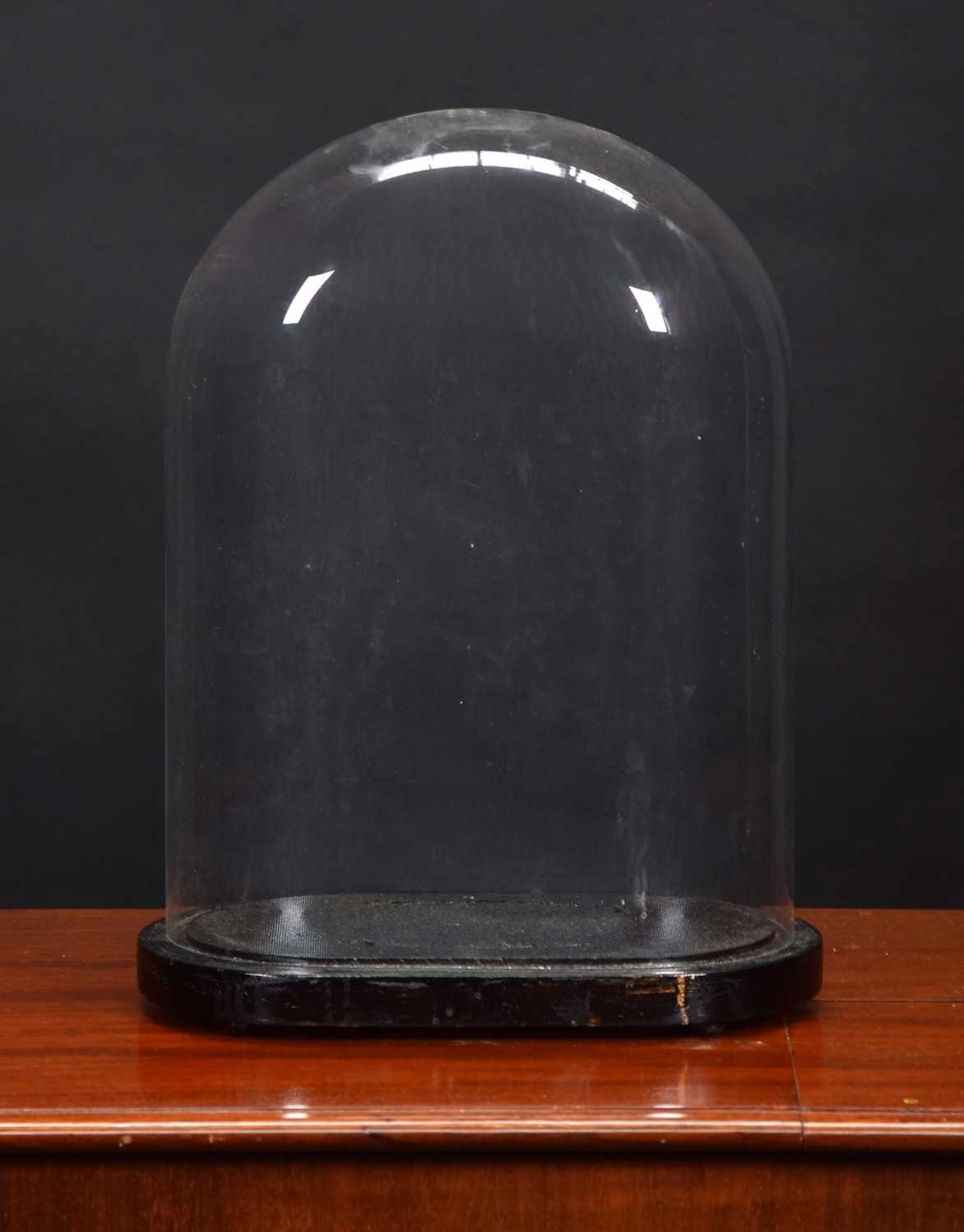 Glass Dome: An Oval Glass Dome