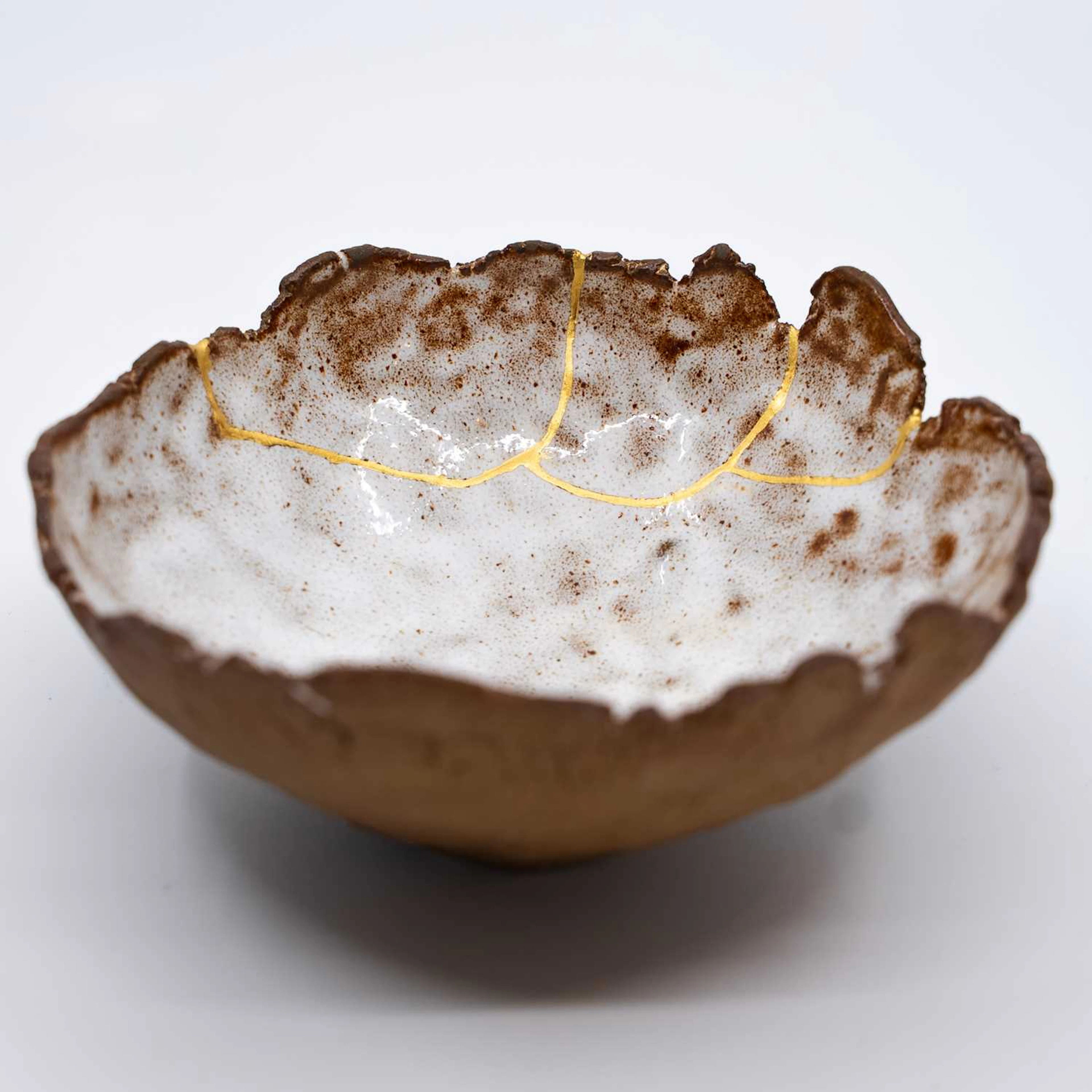 Ynyshir: Bowl by Muzuri Ware, Ynyshir, Eglwys Fach, Wales, :, Before