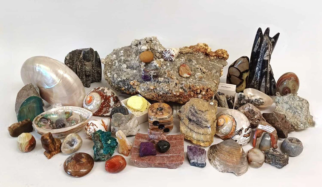 Natural History: A Collection of Various Minerals Seashells and Natural
