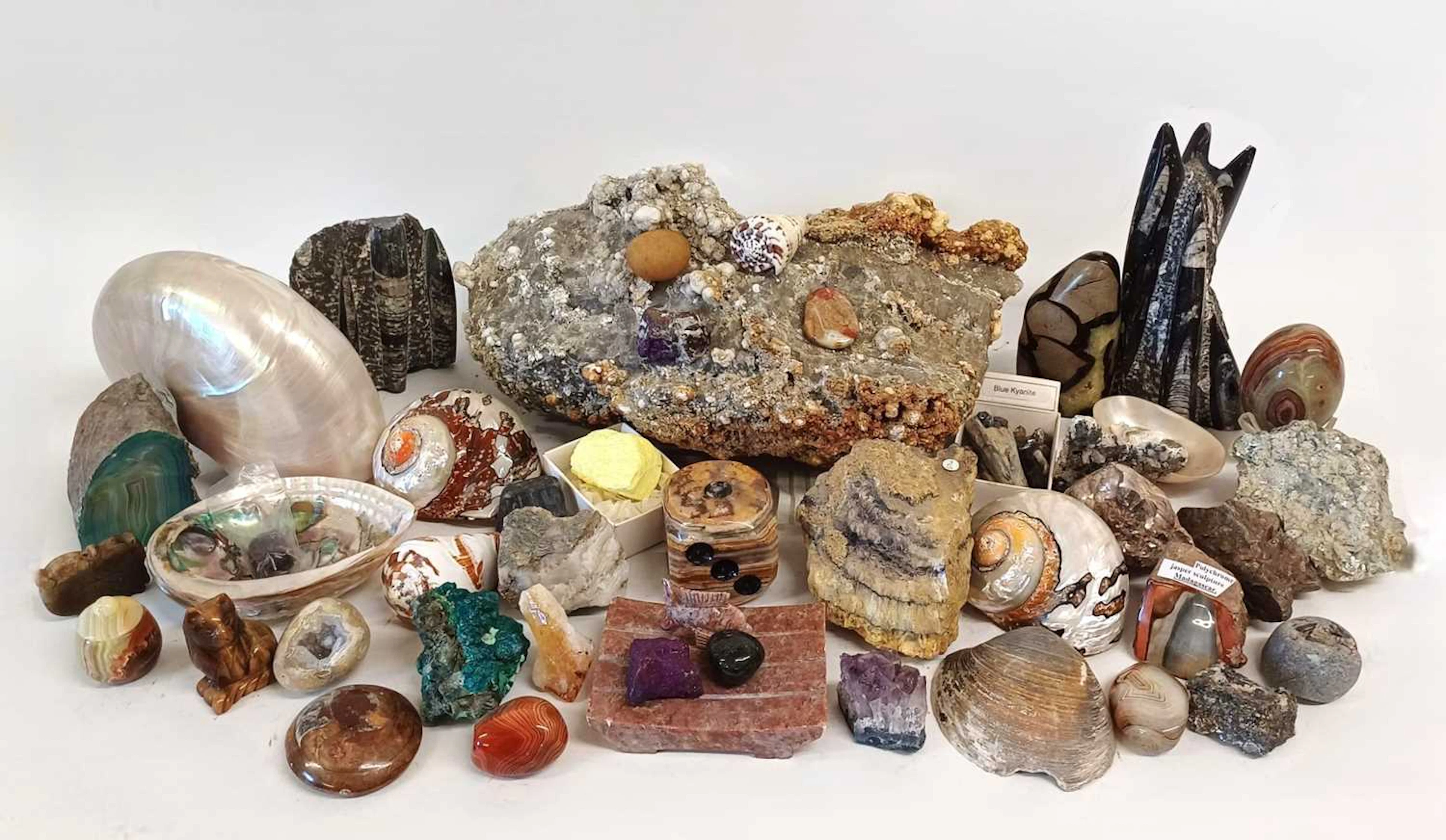 Natural History: A Collection of Various Minerals Seashells and Natural