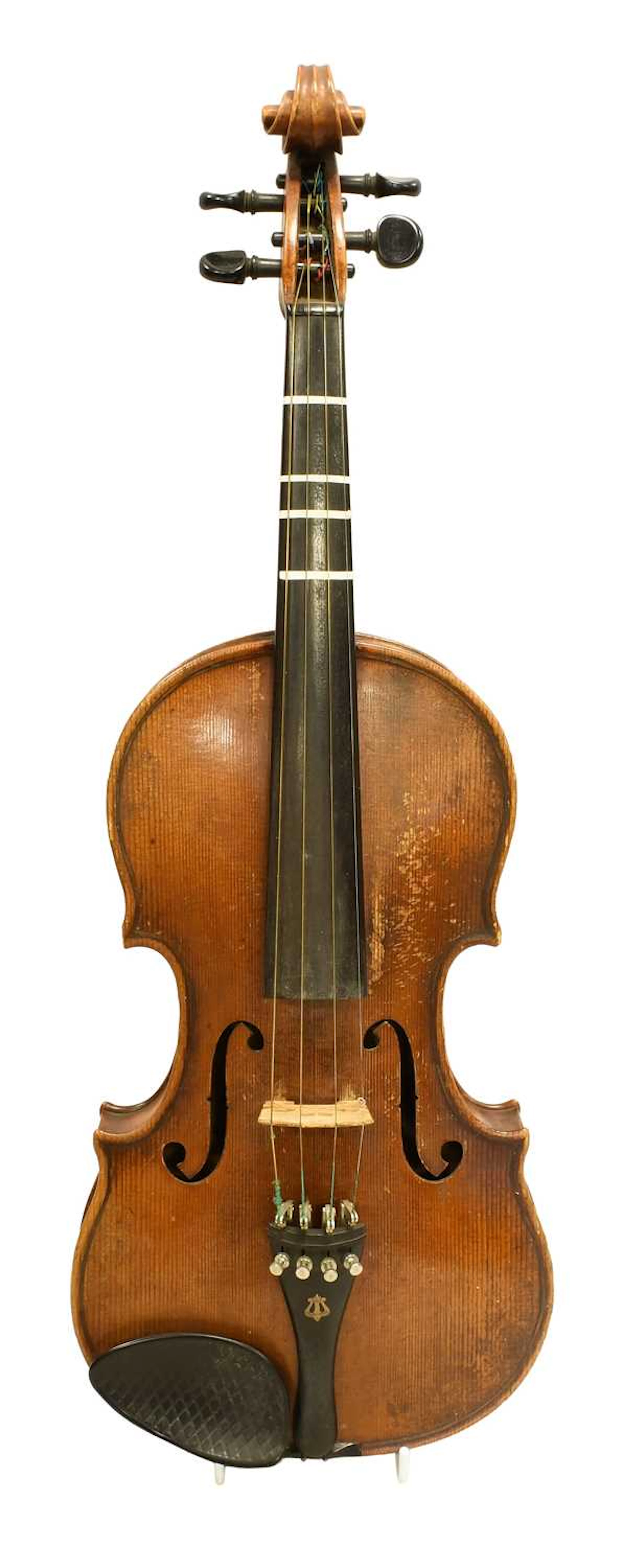 Violin