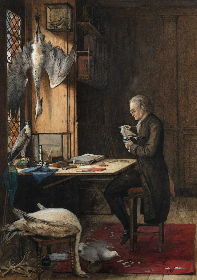 Arthur Burchett (1853-1927)