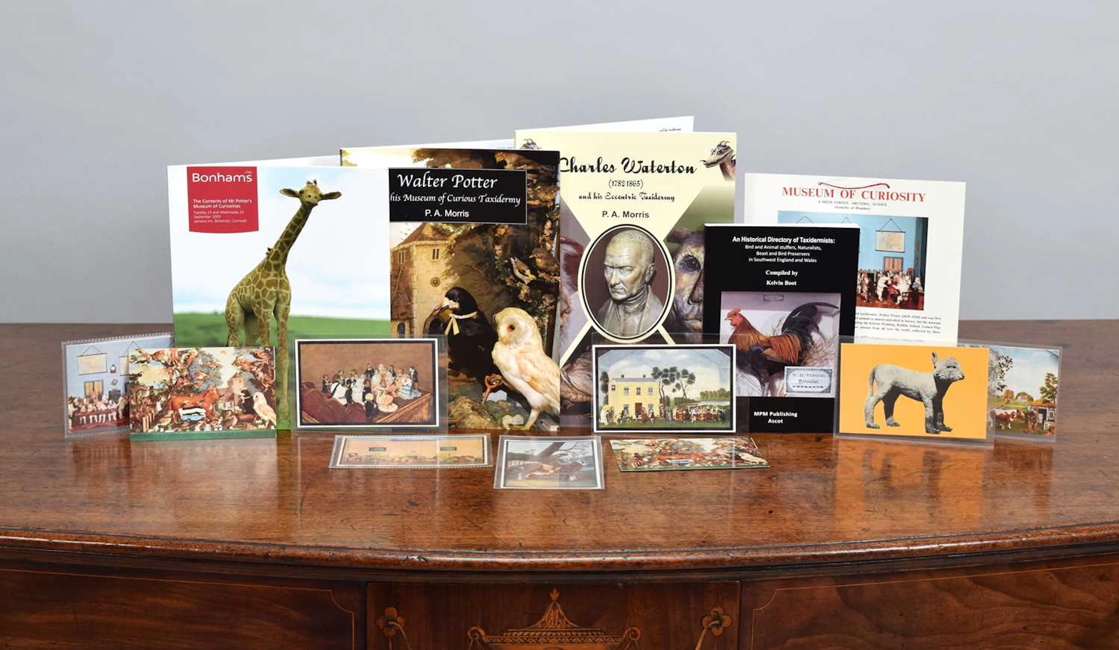 Natural History Books: A Group of Natural History Books