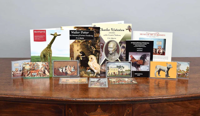Natural History Books: A Group of Natural History Books