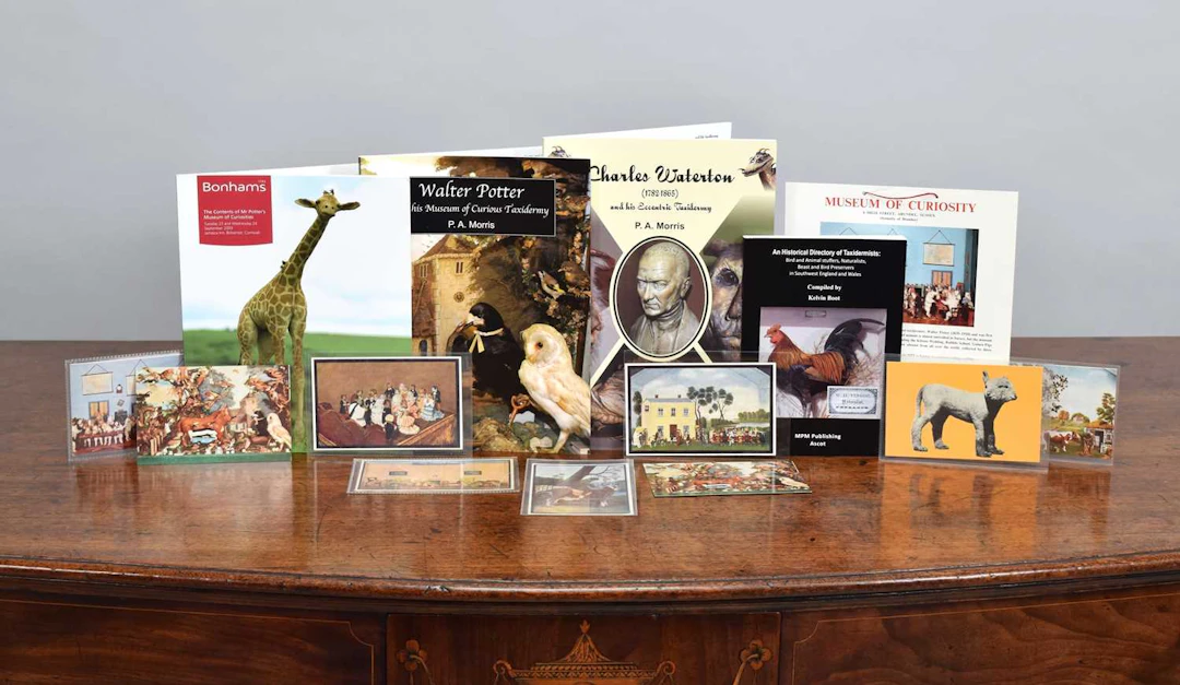 Natural History Books: A Group of Natural History Books