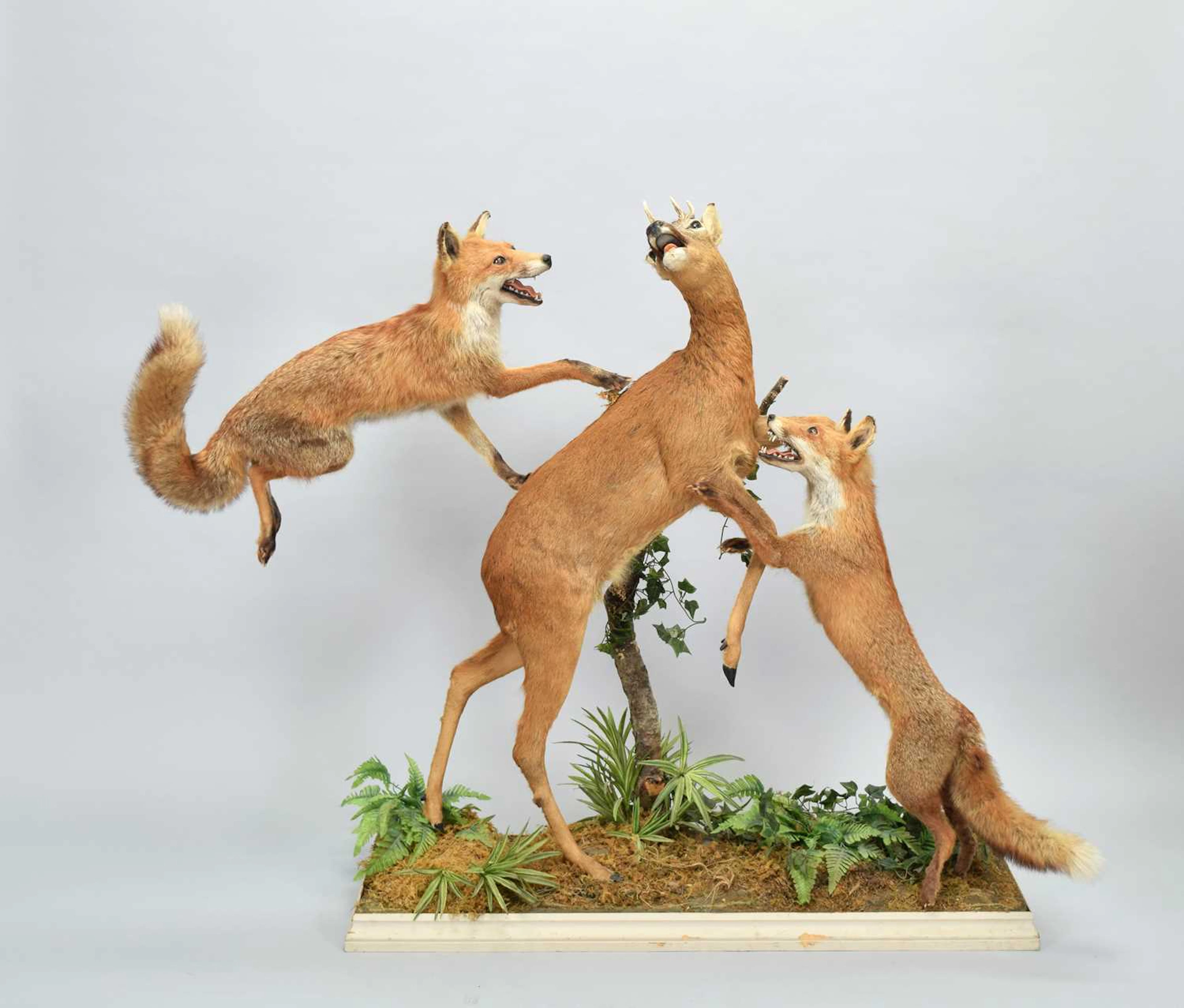 Taxidermy: "A Leap for Life", modern