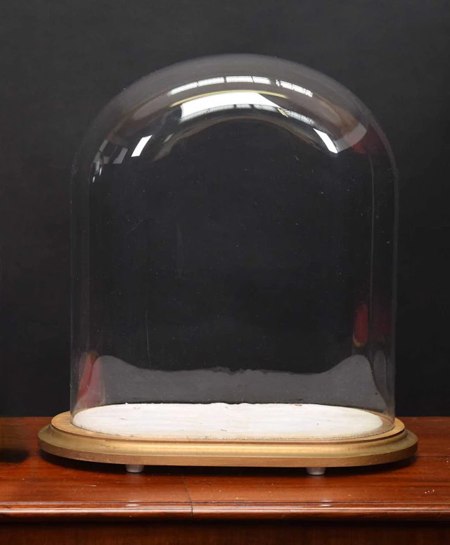 Glass Dome: An Oval Glass Dome