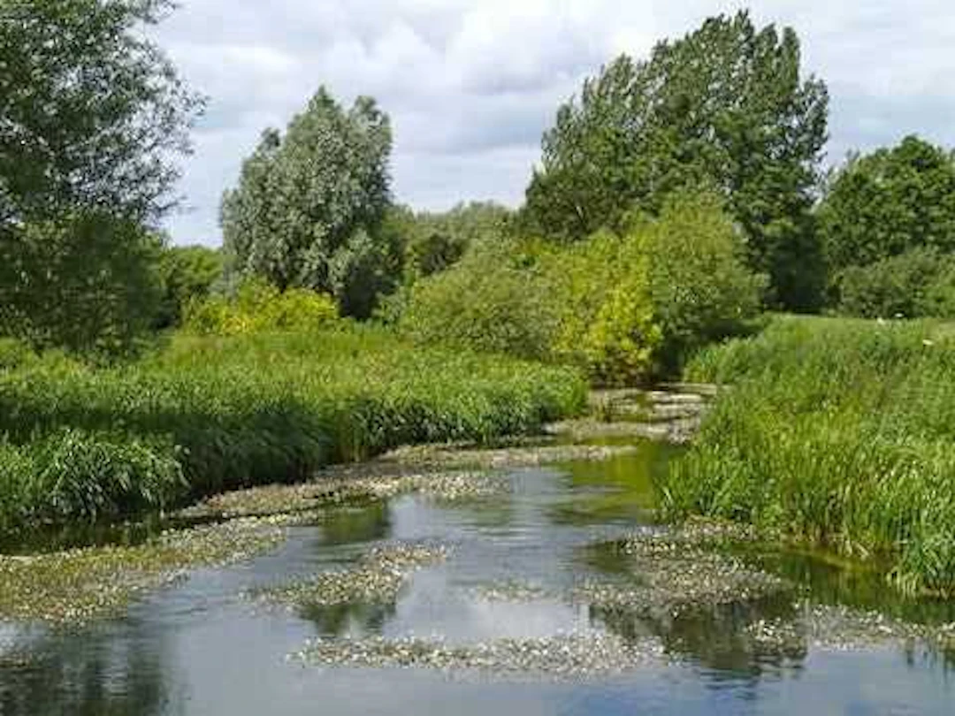 A Day's Guided Fishing on Driffield Beck