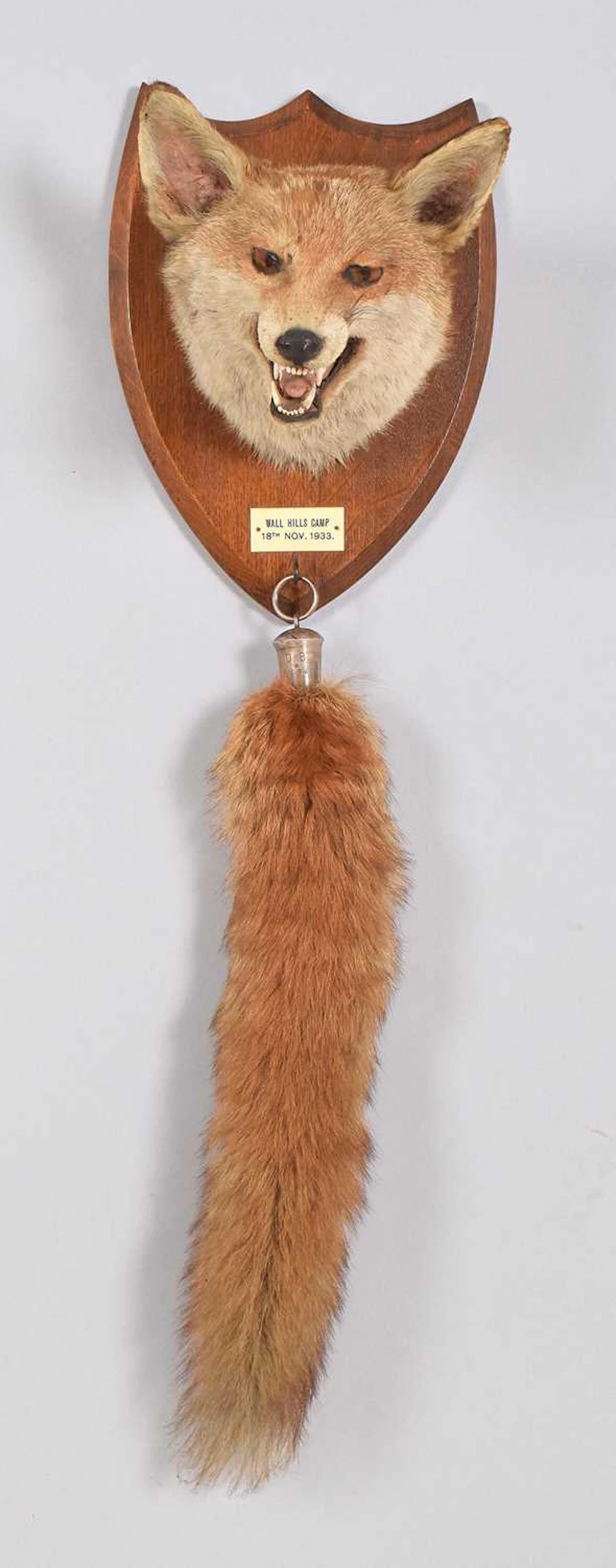 Taxidermy: European Fox Mask (Vulpes vulpes), dated 1933, by E.F.