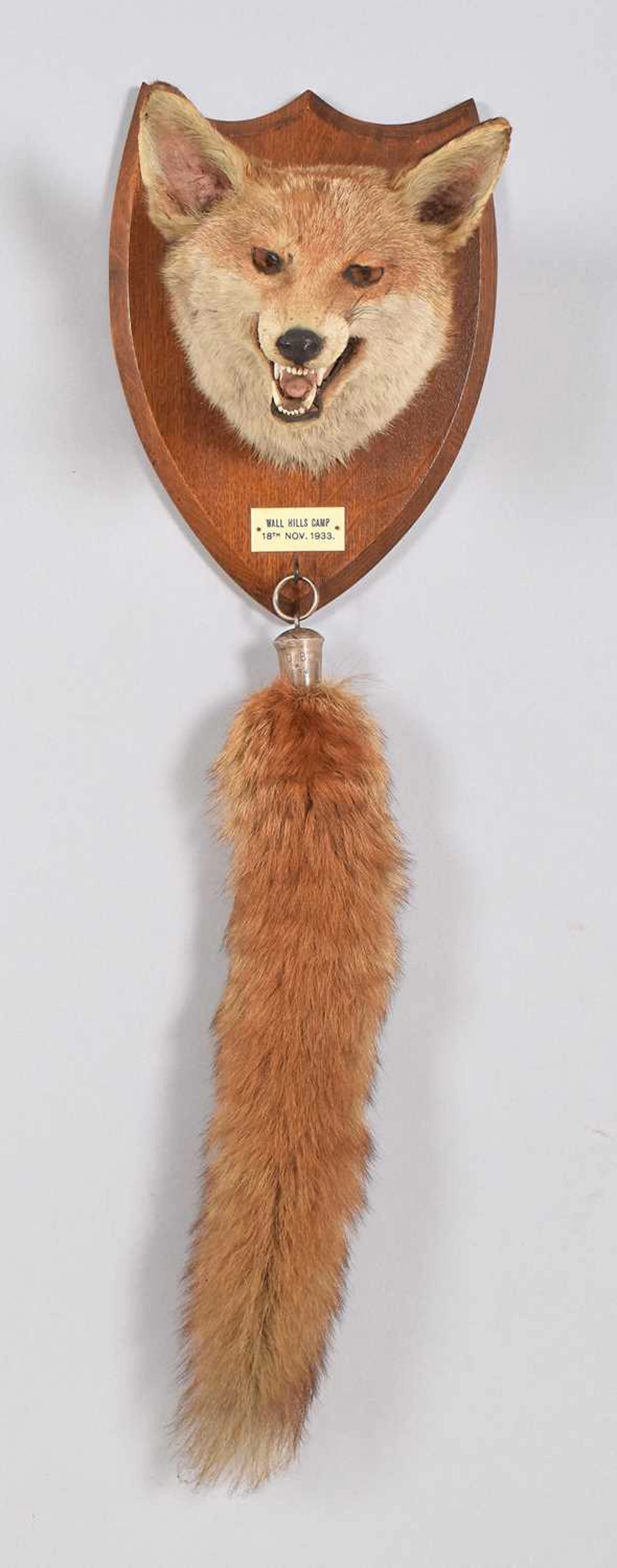 Taxidermy: European Fox Mask (Vulpes vulpes), dated 1933, by E.F.