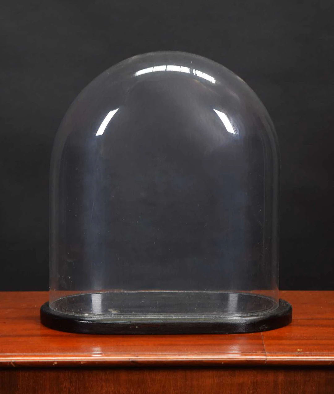 Glass Dome: An Oval Glass Dome