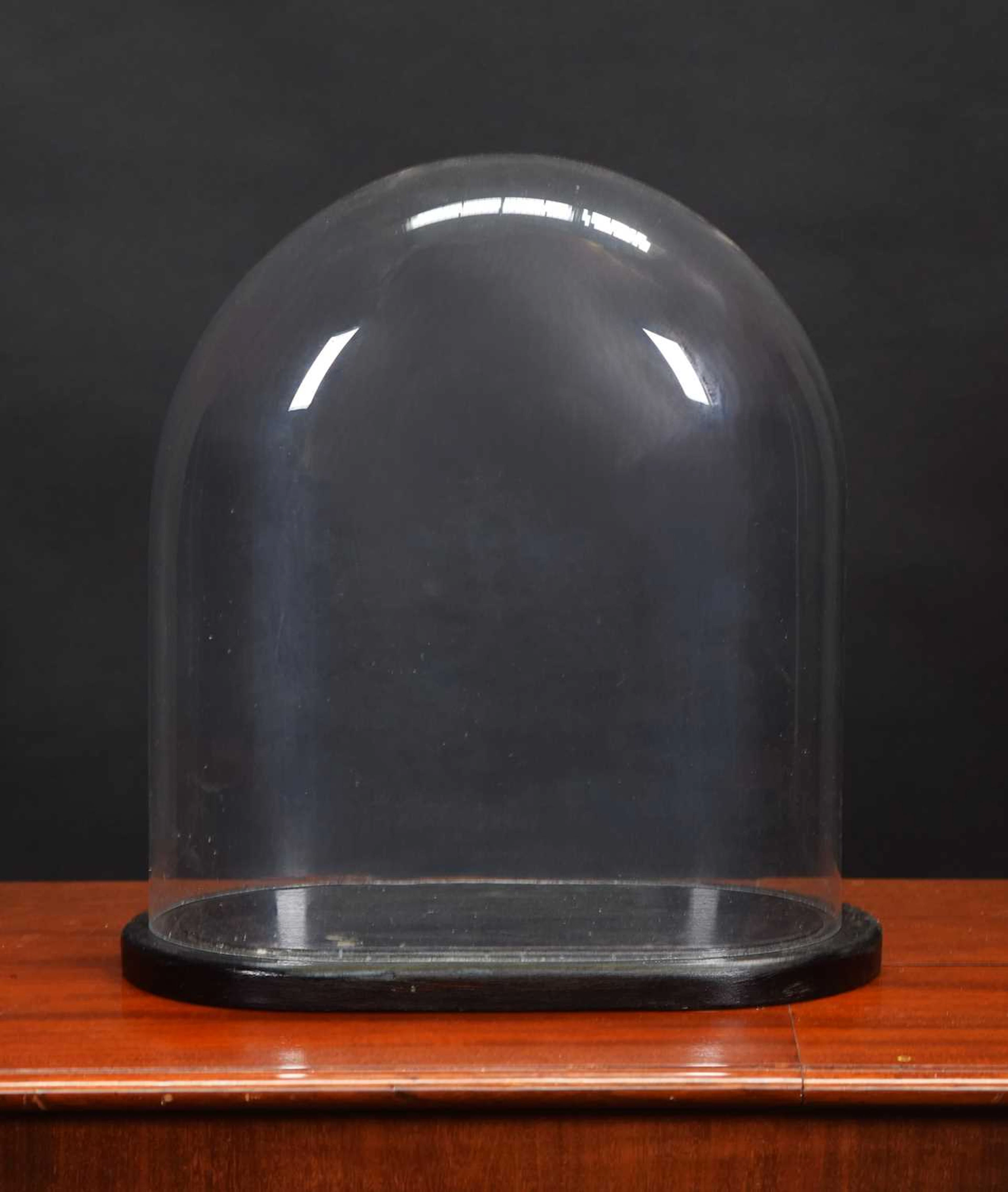 Glass Dome: An Oval Glass Dome