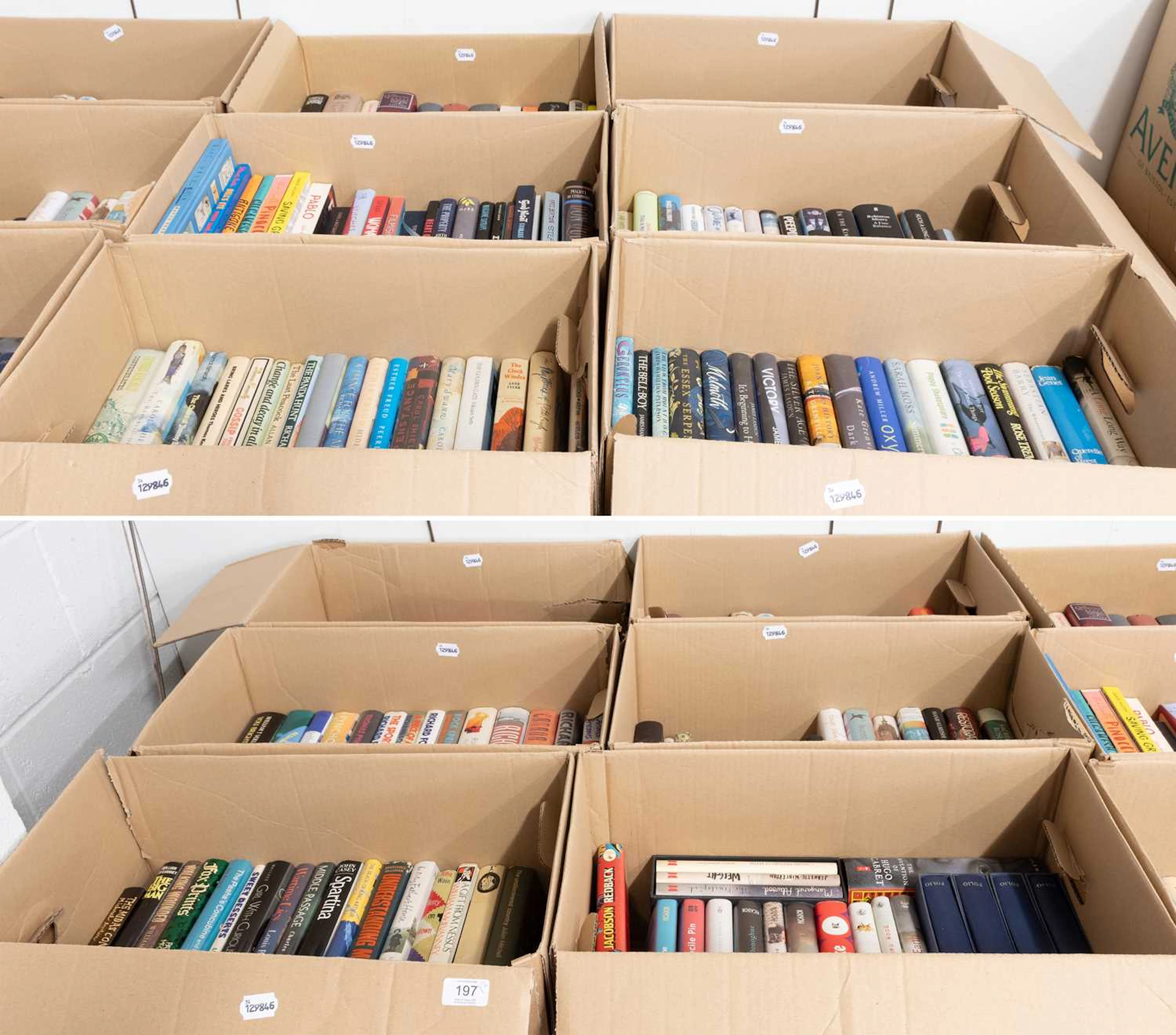 Large Collection of Modern Literature