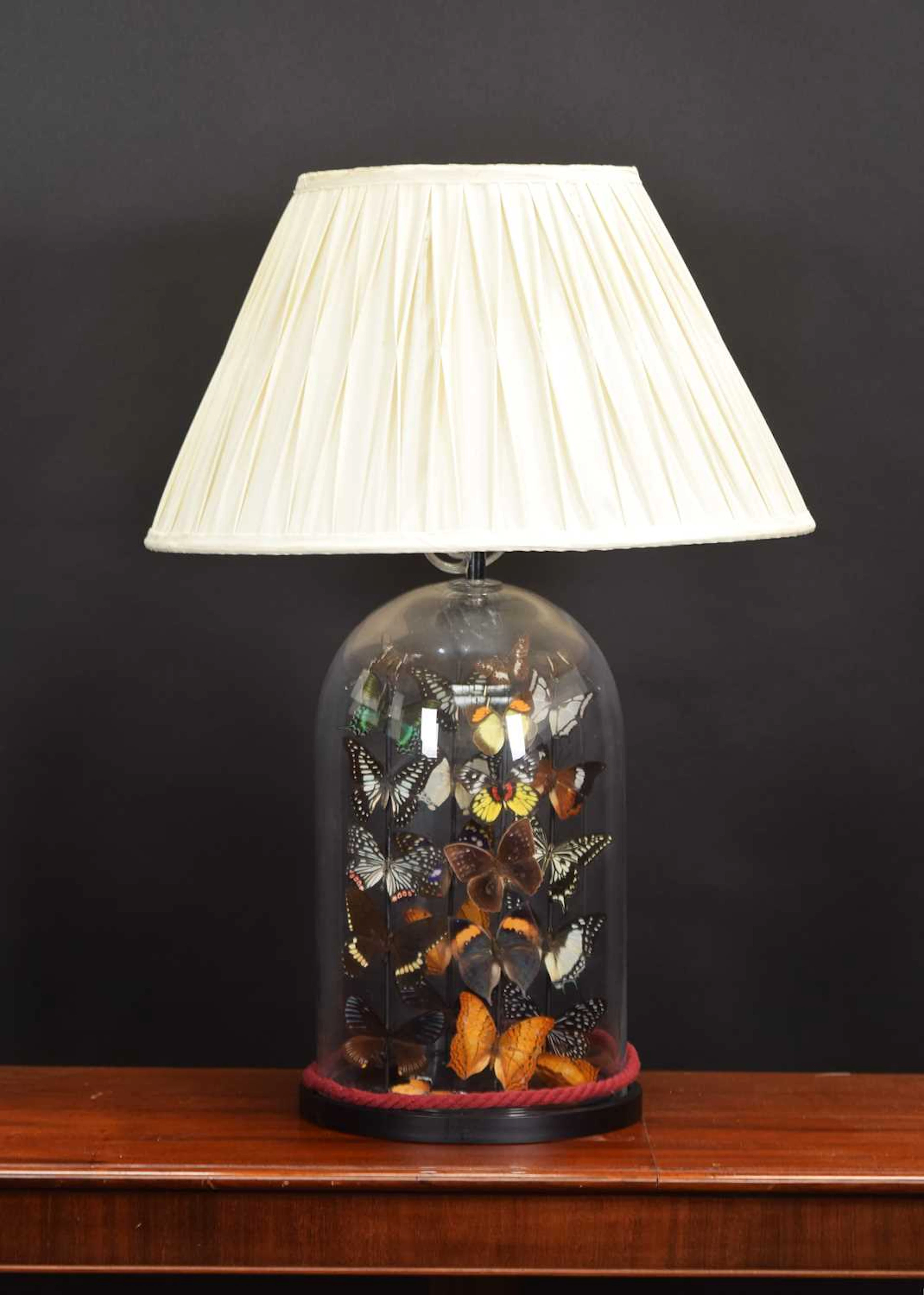 Entomology: A Glass Jar Butterfly Lamp, modern